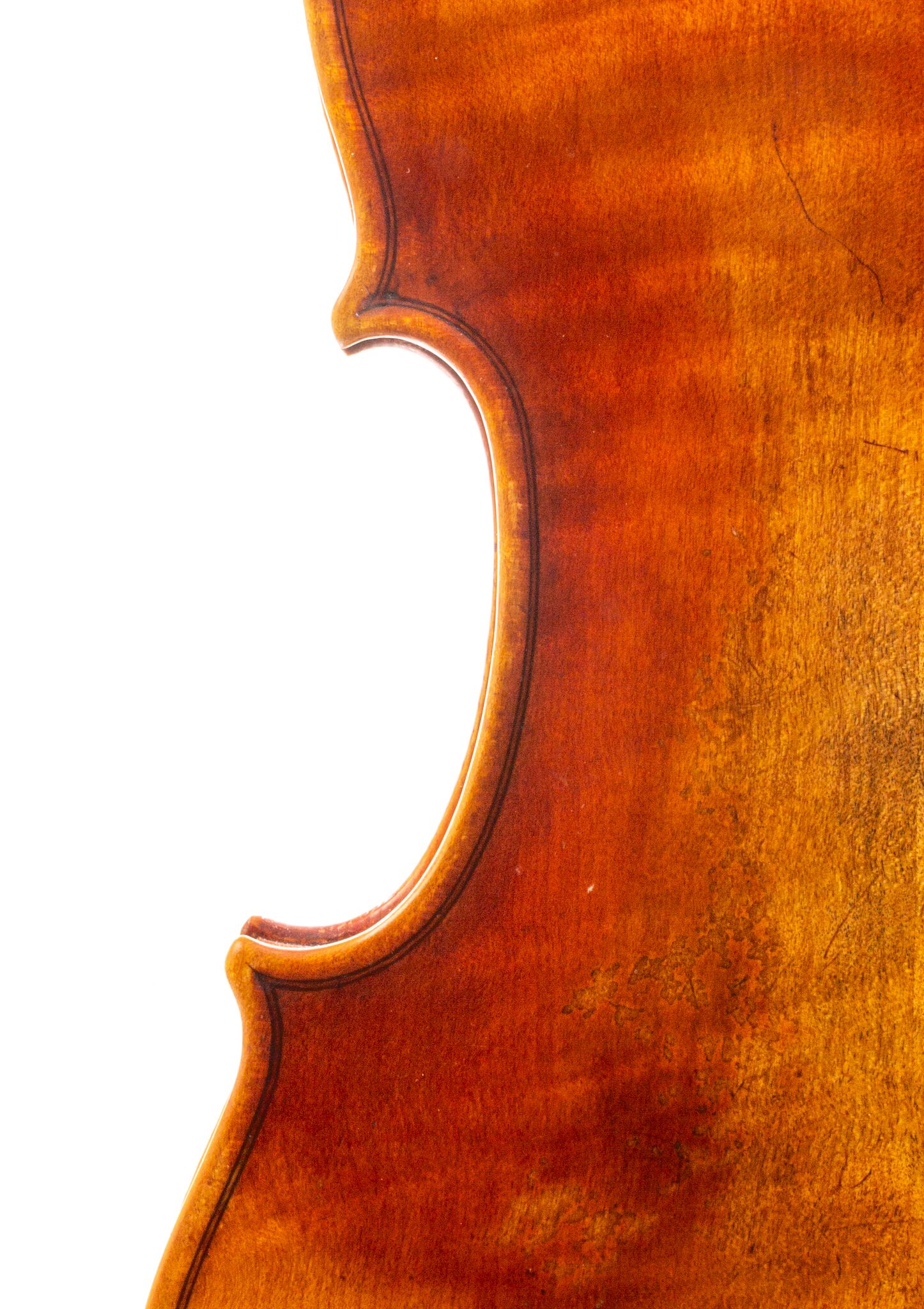 Artur Friedhoff Violin - Oakland 2024-2-2