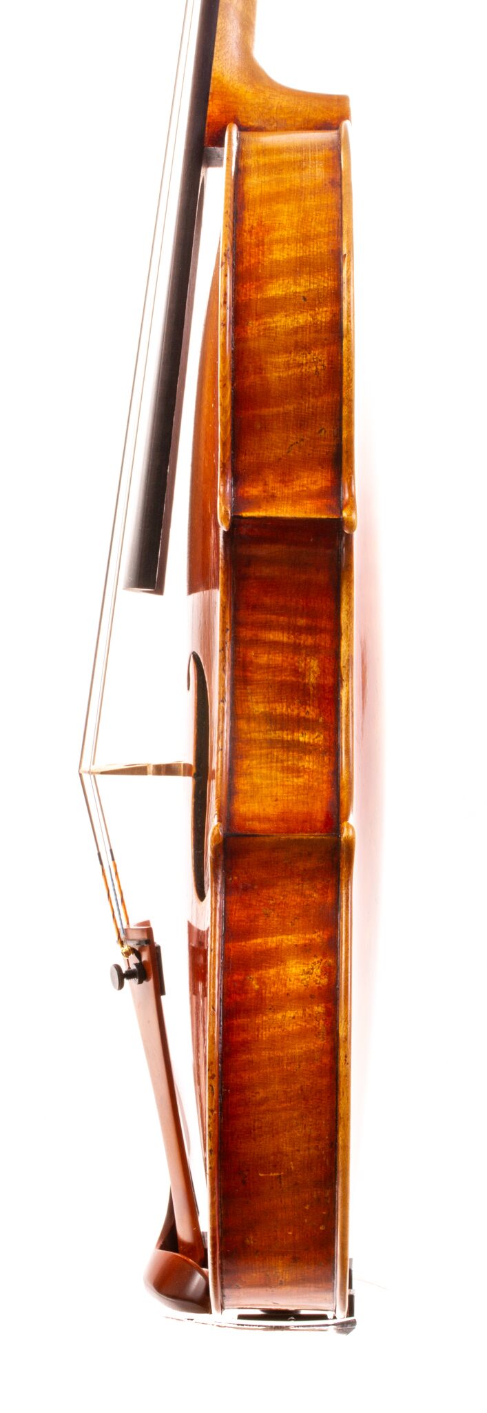 Artur Friedhoff Violin - Oakland 2024-5