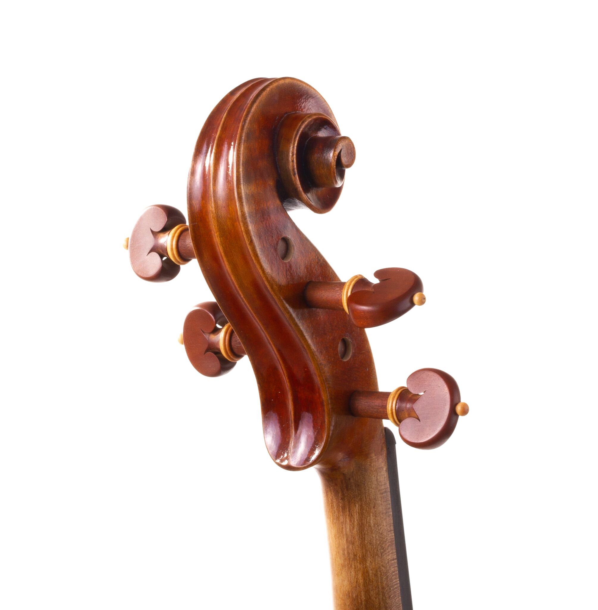 peter-kauffman-15-viola-01