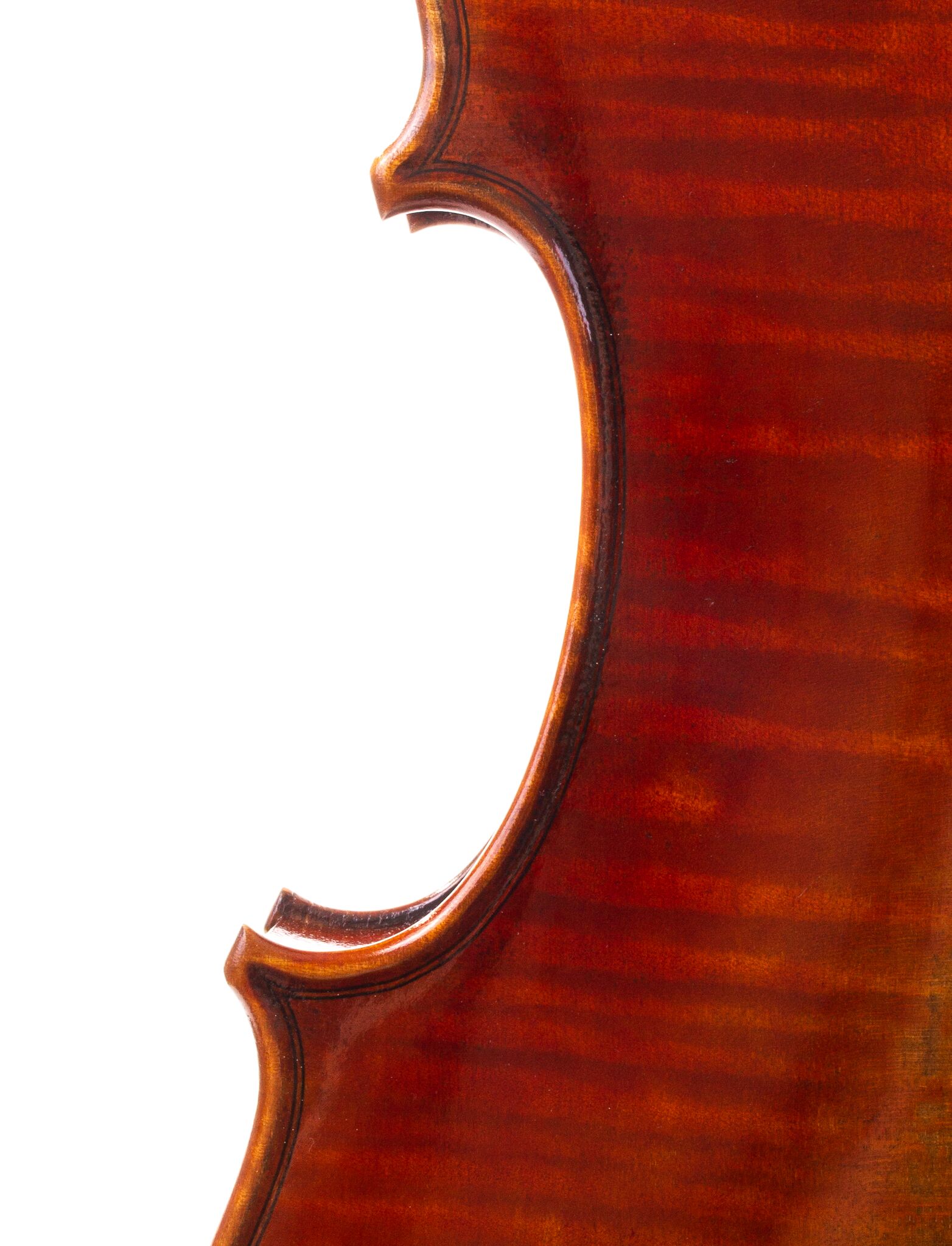 peter-kauffman-15-viola-02