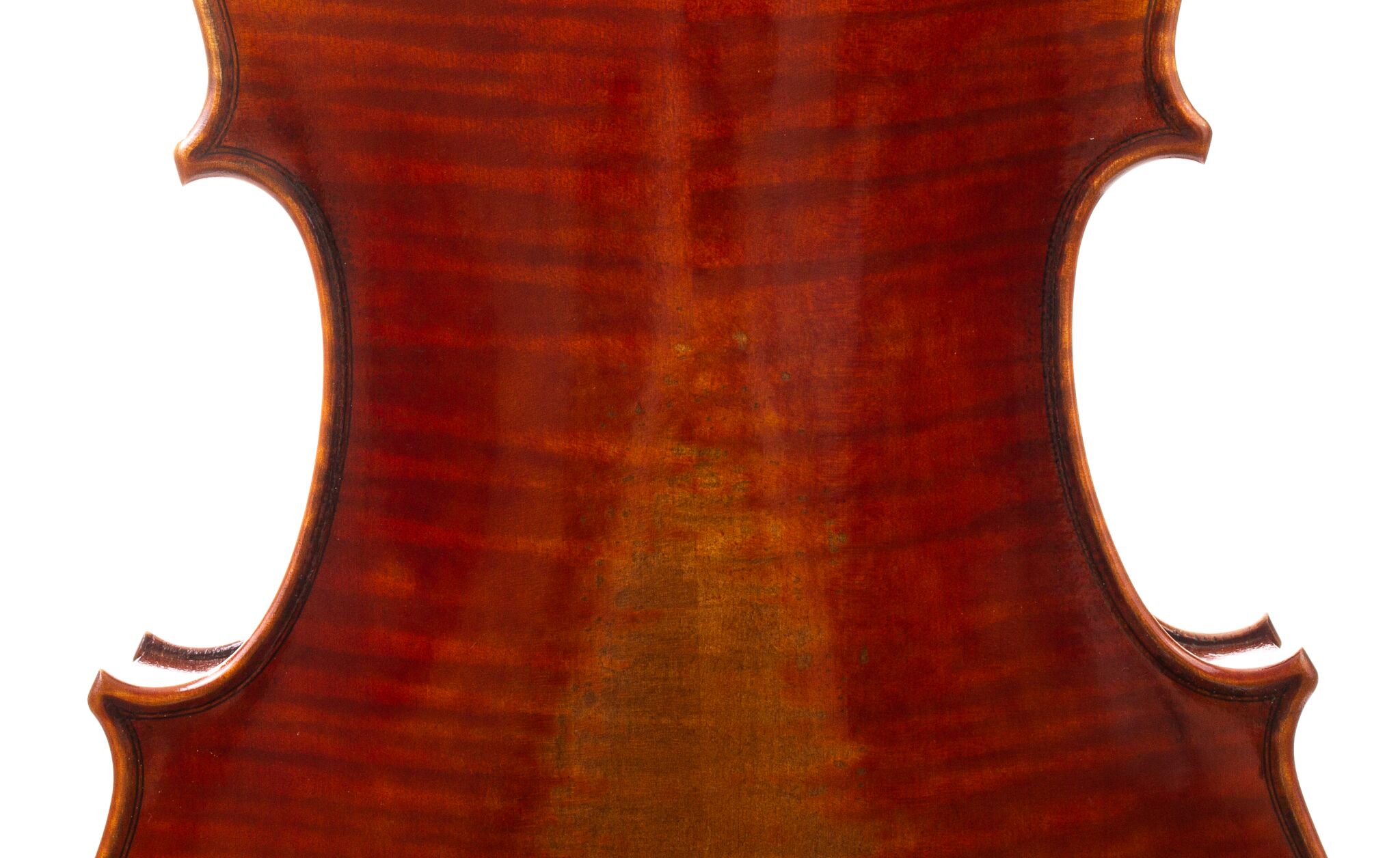 peter-kauffman-15-viola-03