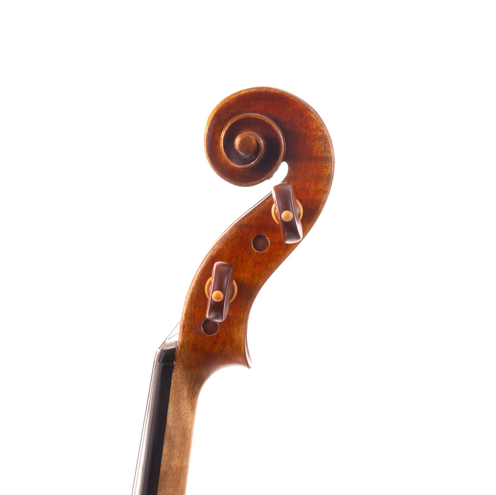 peter-kauffman-15-viola-05