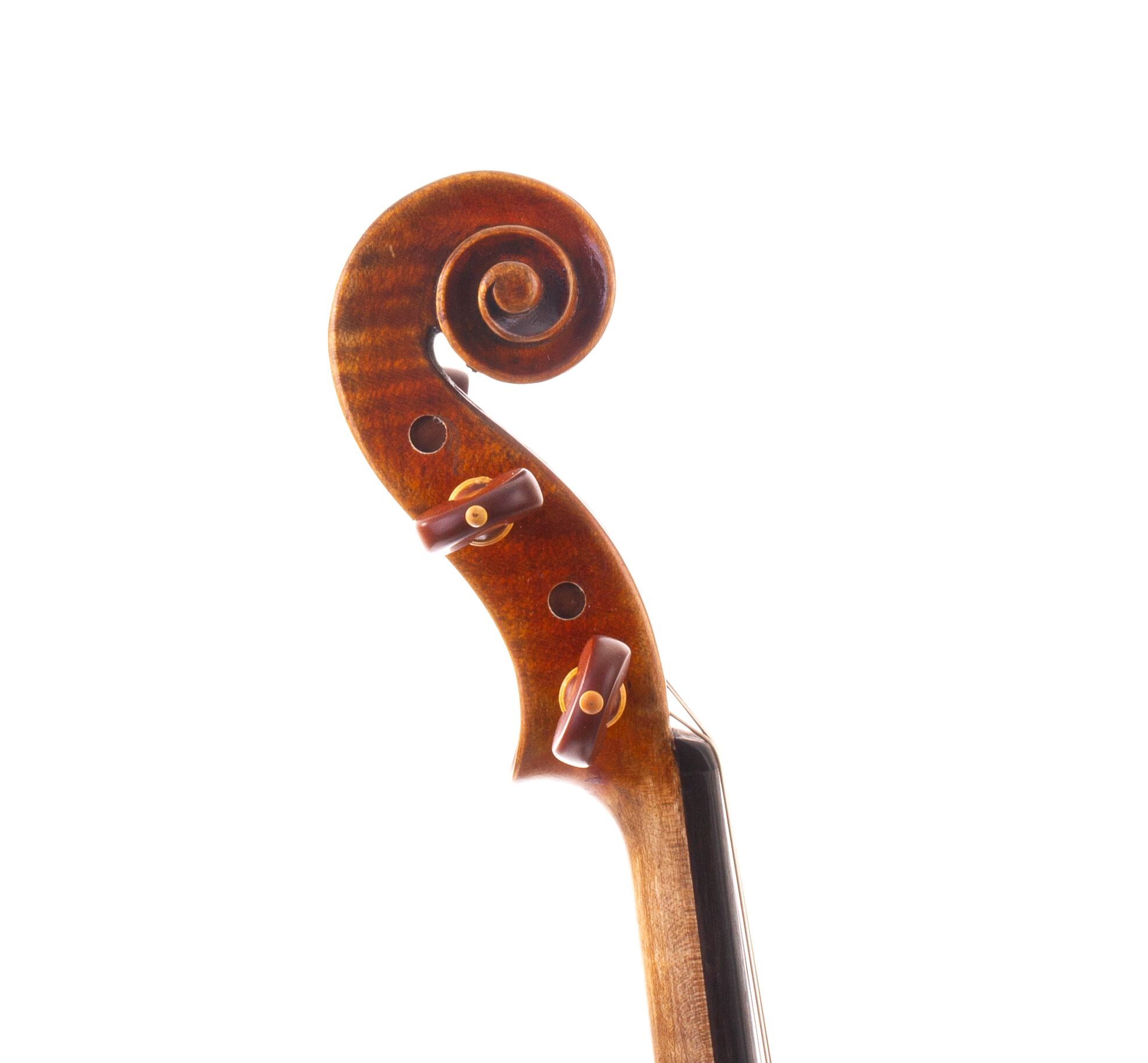 peter-kauffman-15-viola-06