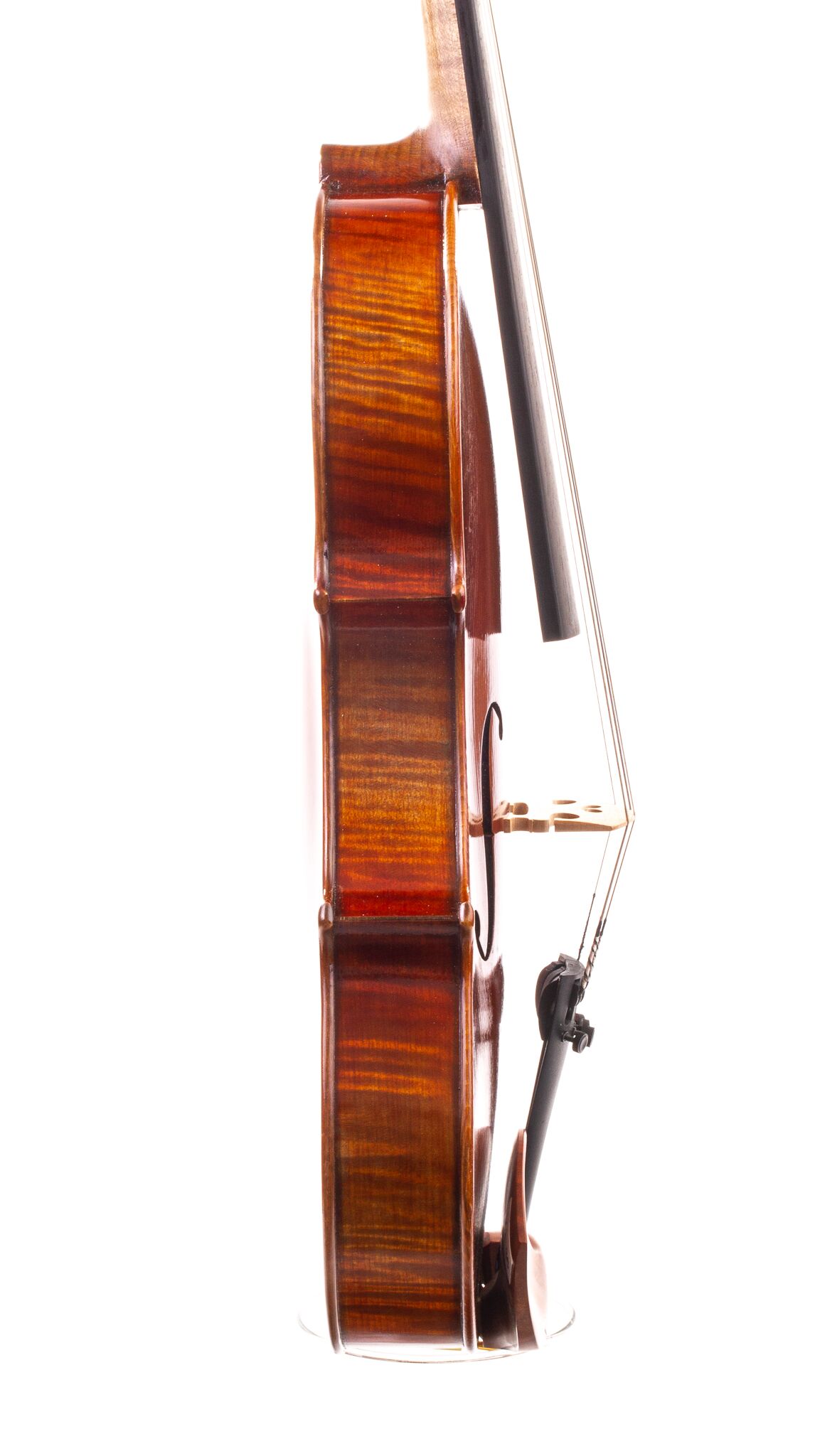 peter-kauffman-15-viola-07
