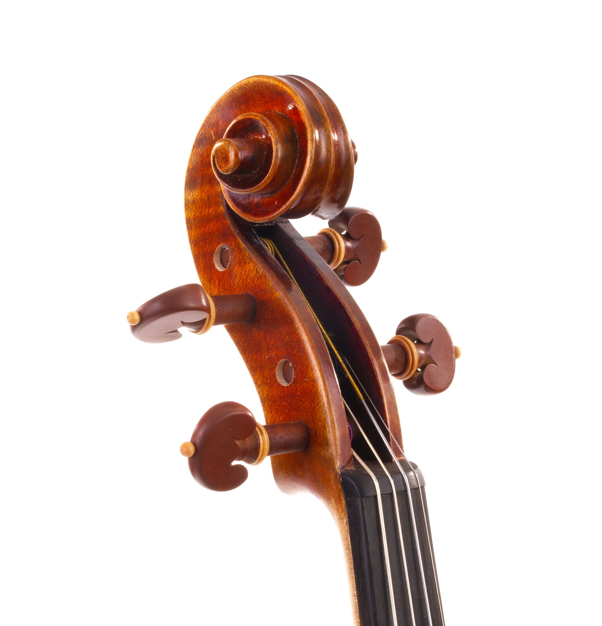 peter-kauffman-15-viola-08