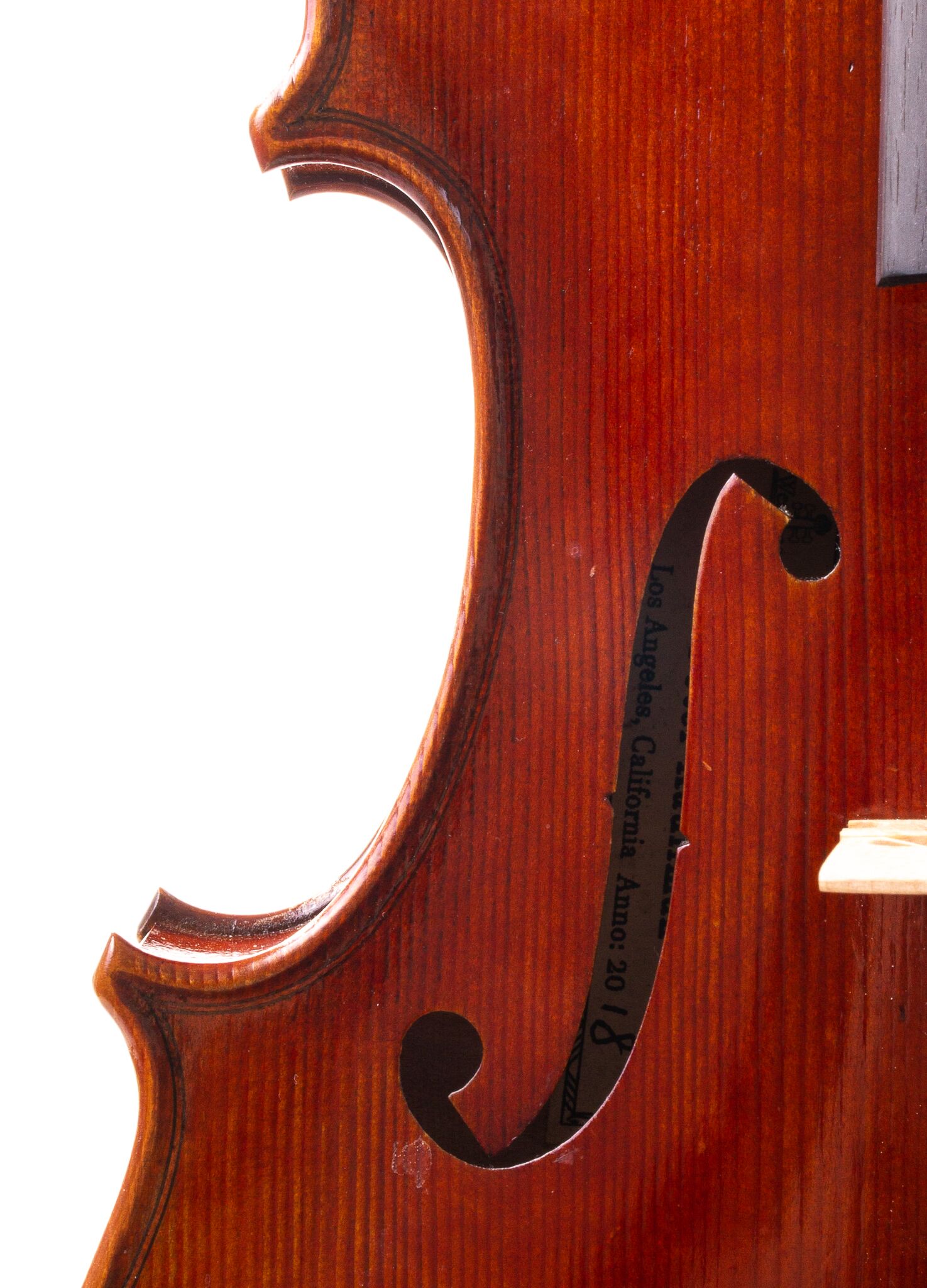 peter-kauffman-15-viola-10