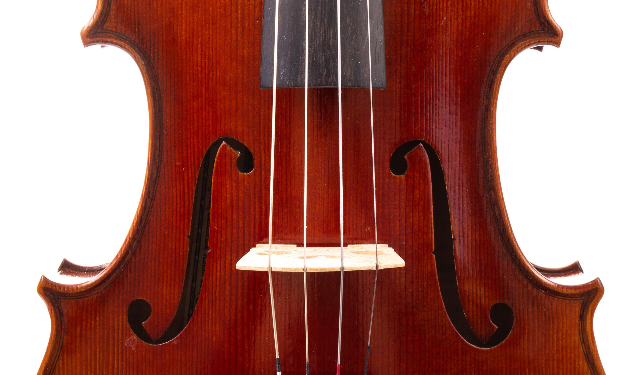 peter-kauffman-15-viola-11