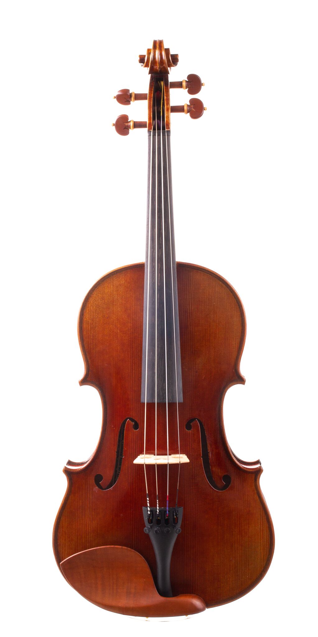 peter-kauffman-15-viola-13