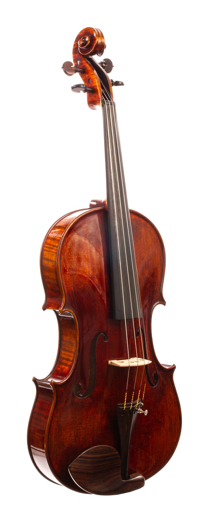 Wladek-Stopka-Viola-2017-11