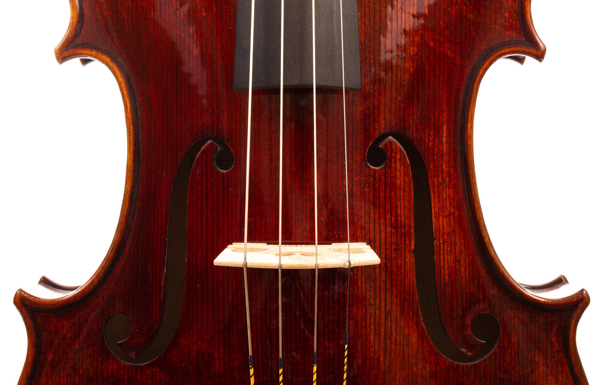 Wladek-Stopka-Viola-2017-14