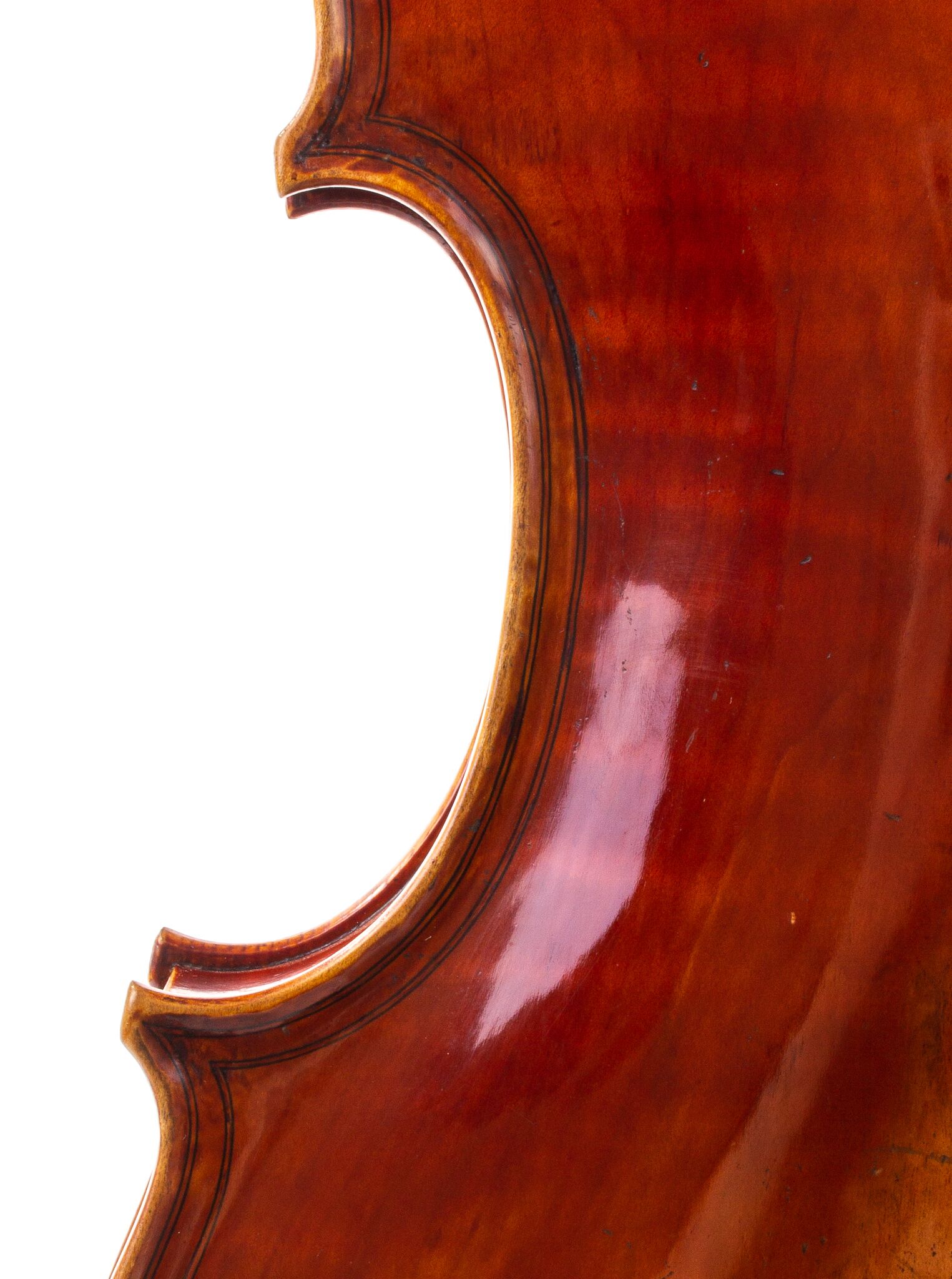 polstein-white-viola-16-1-4-2013-01