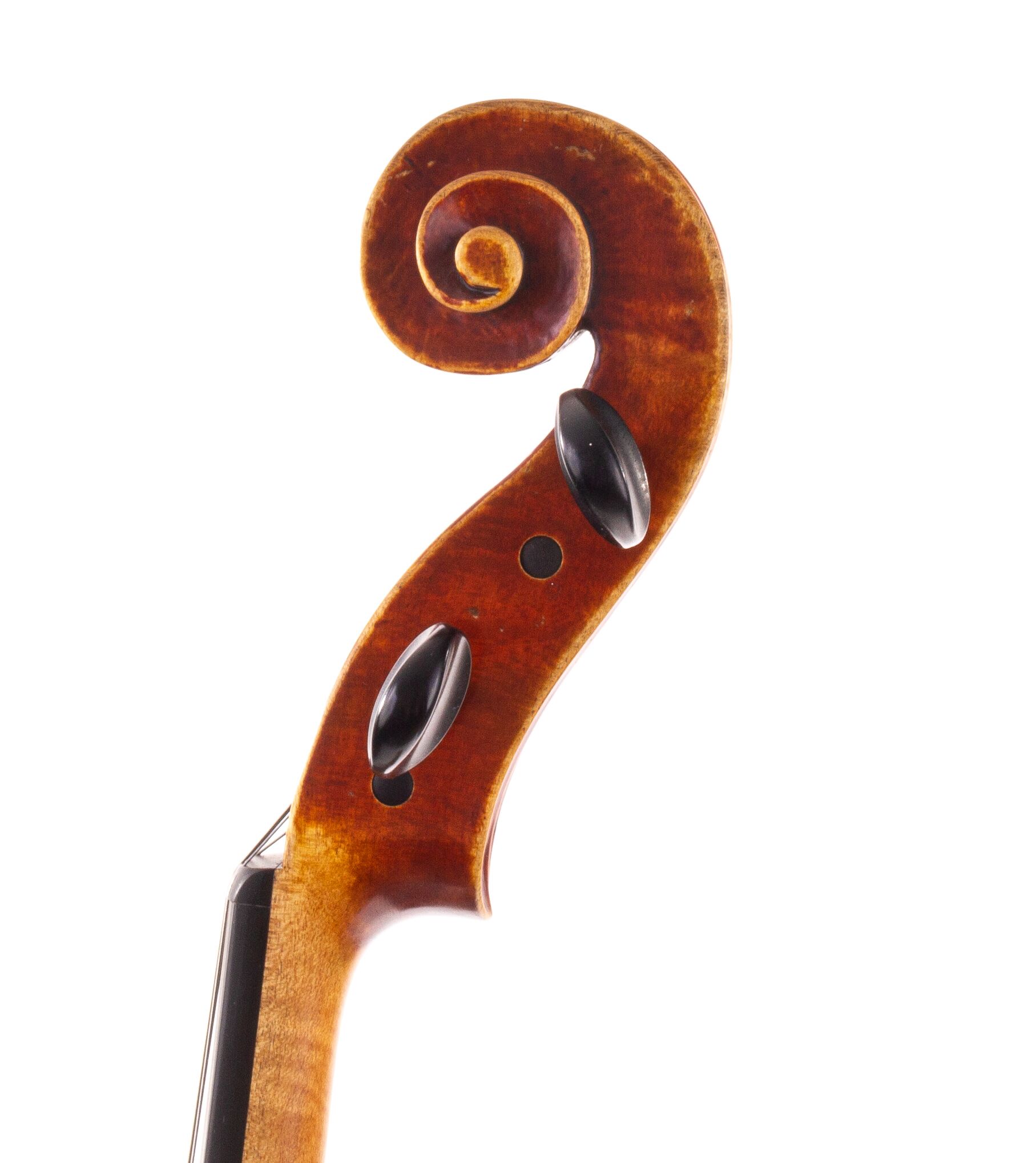 polstein-white-viola-16-1-4-2013-04