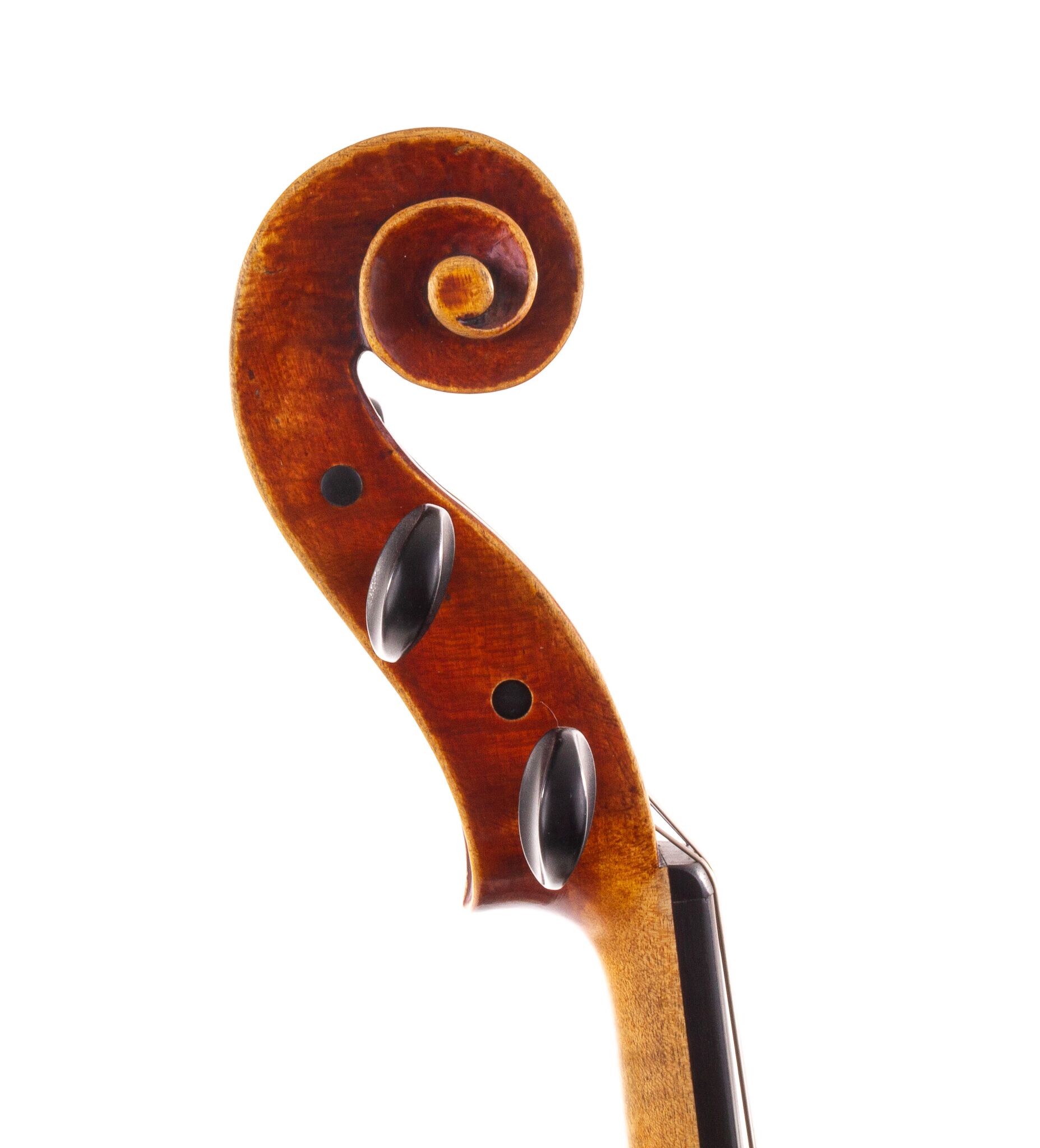 polstein-white-viola-16-1-4-2013-06