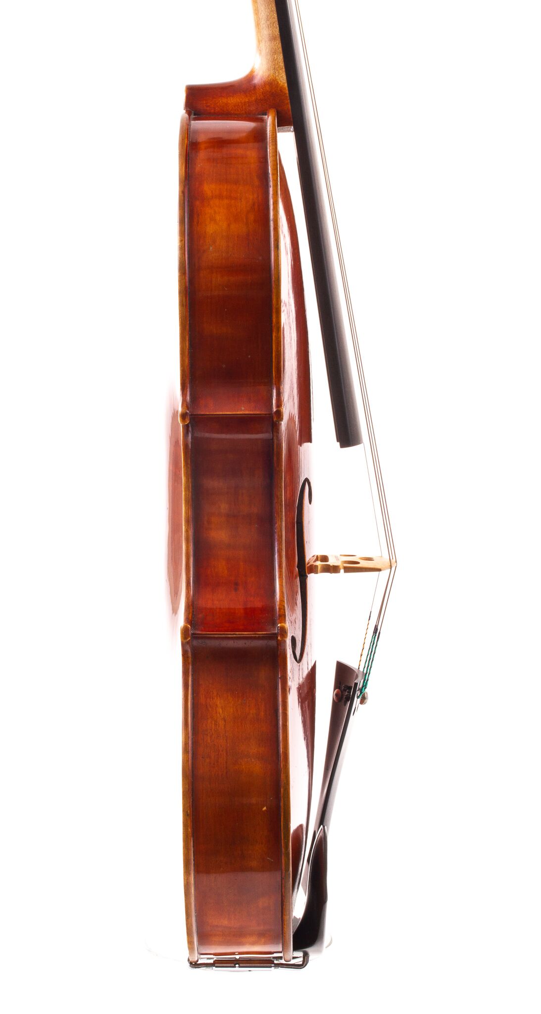 polstein-white-viola-16-1-4-2013-07