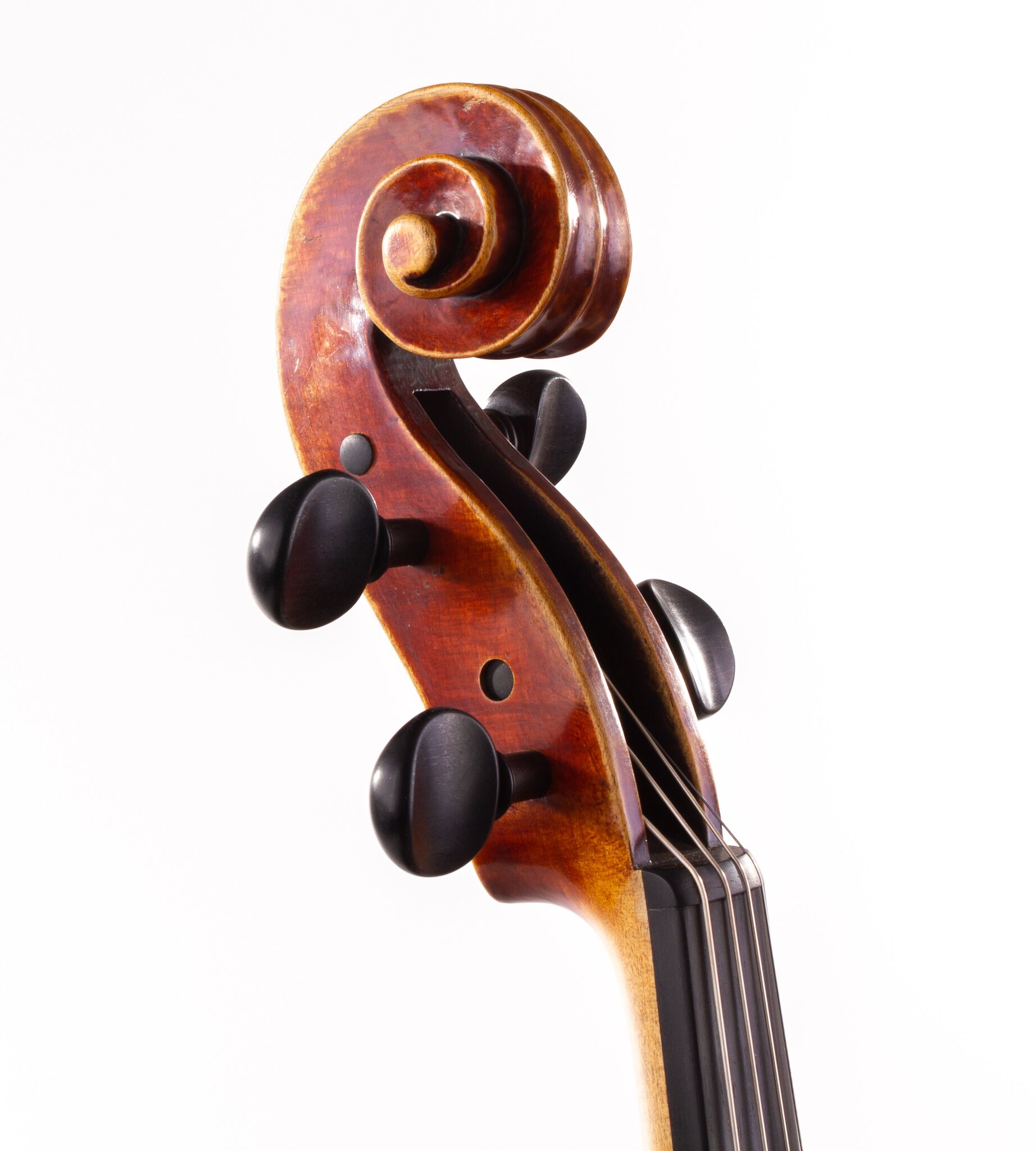 polstein-white-viola-16-1-4-2013-08