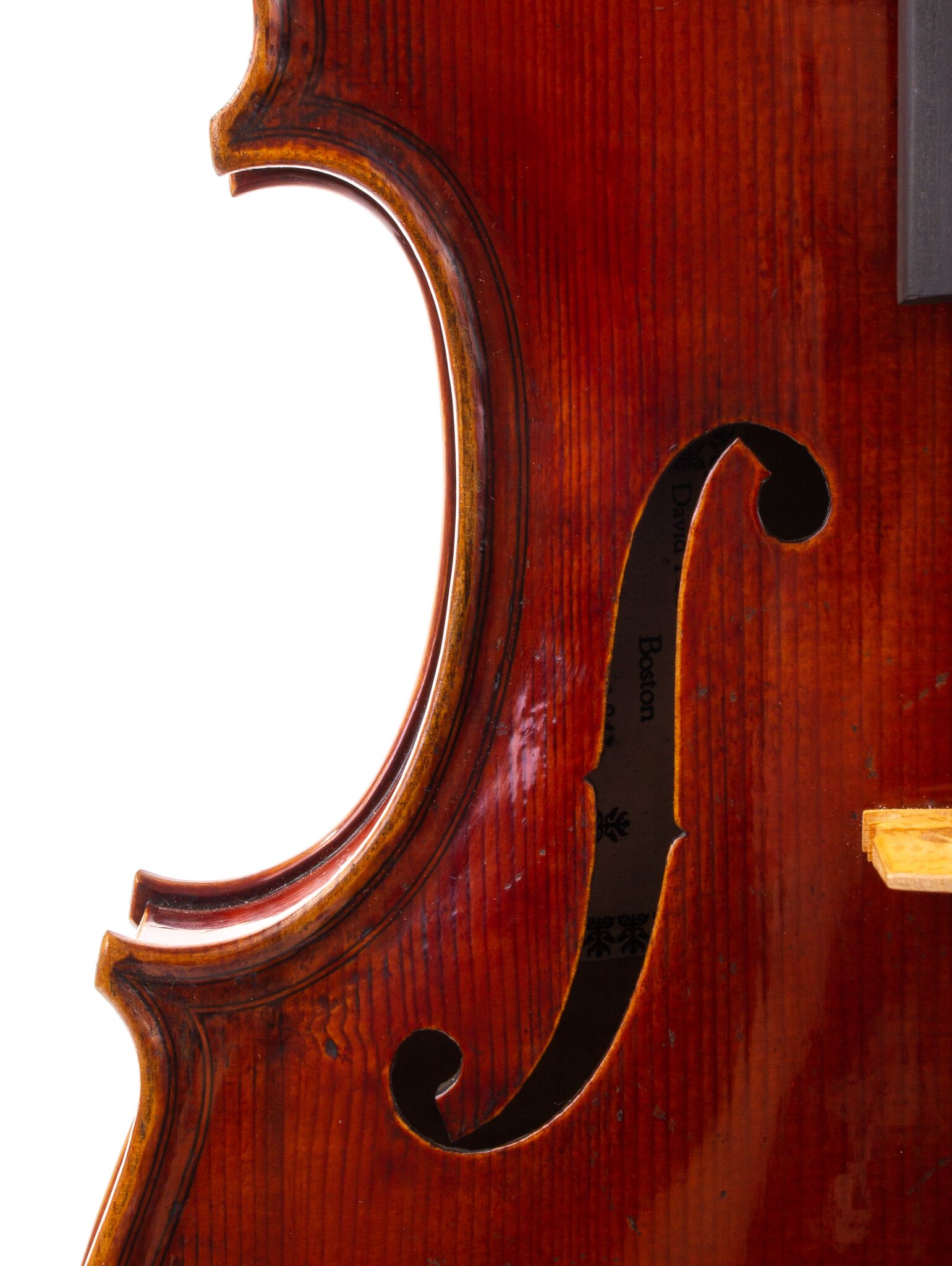 polstein-white-viola-16-1-4-2013-10