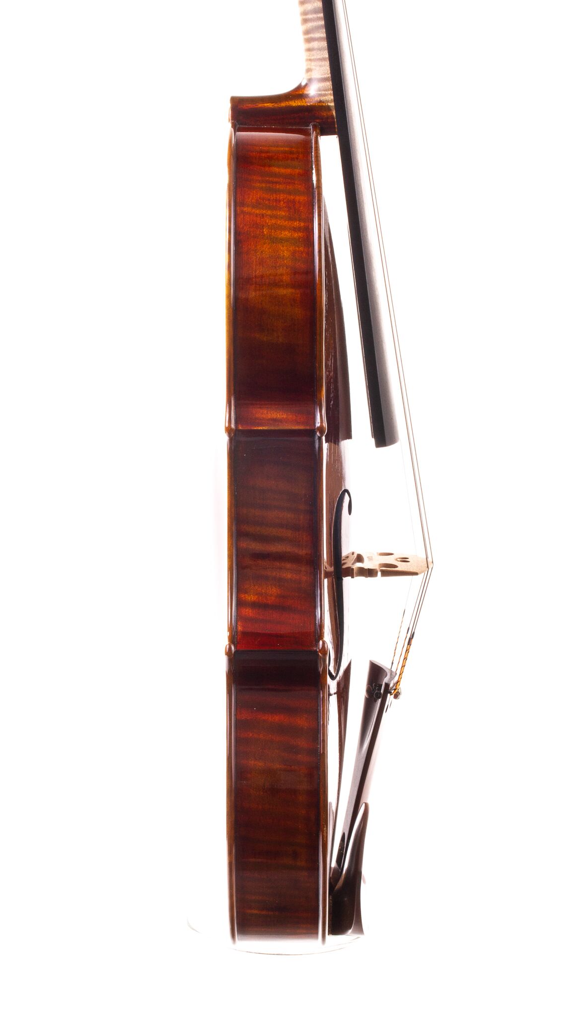 wladek-stopka-16-viola-2019-07