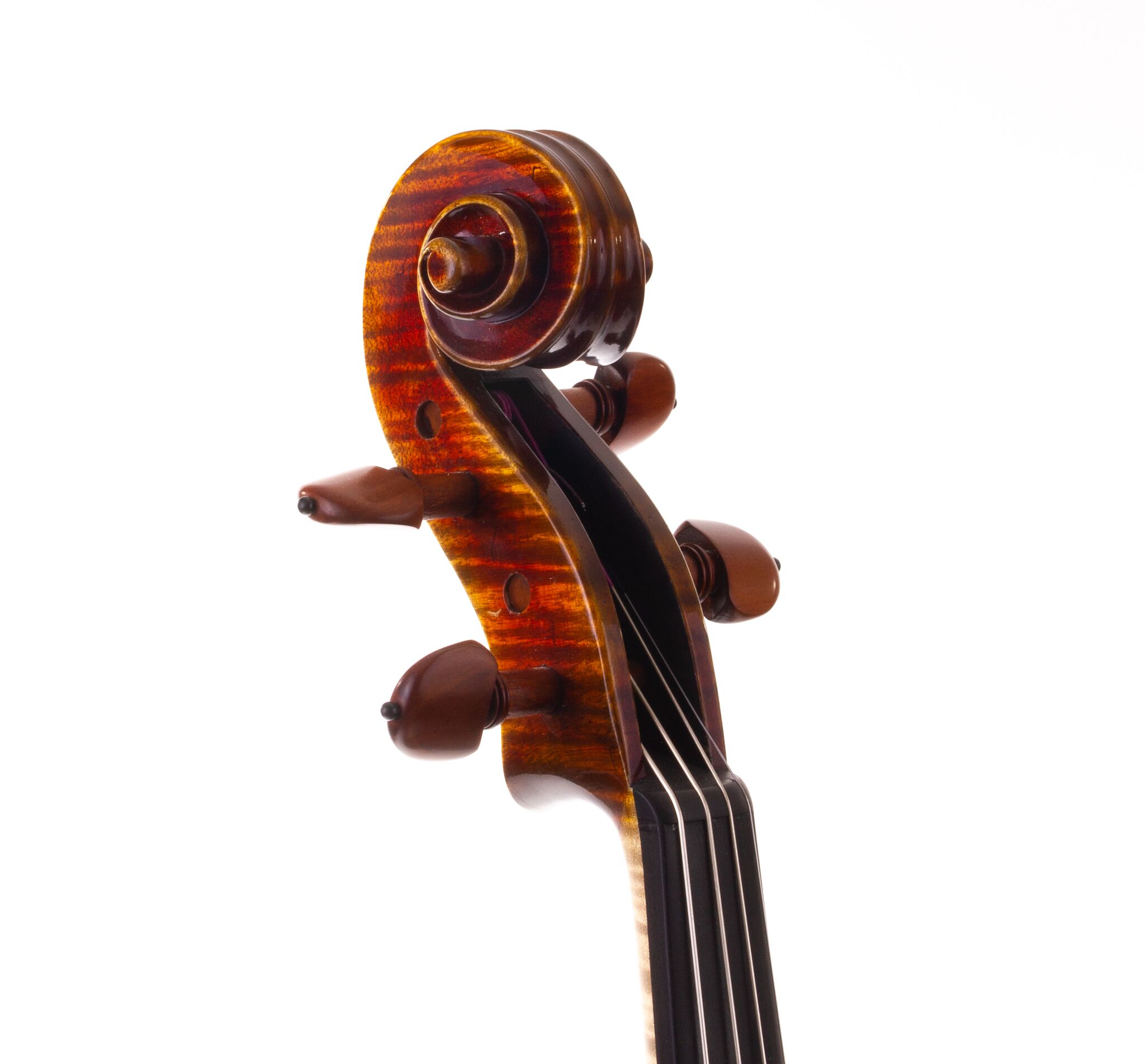 wladek-stopka-16-viola-2019-08