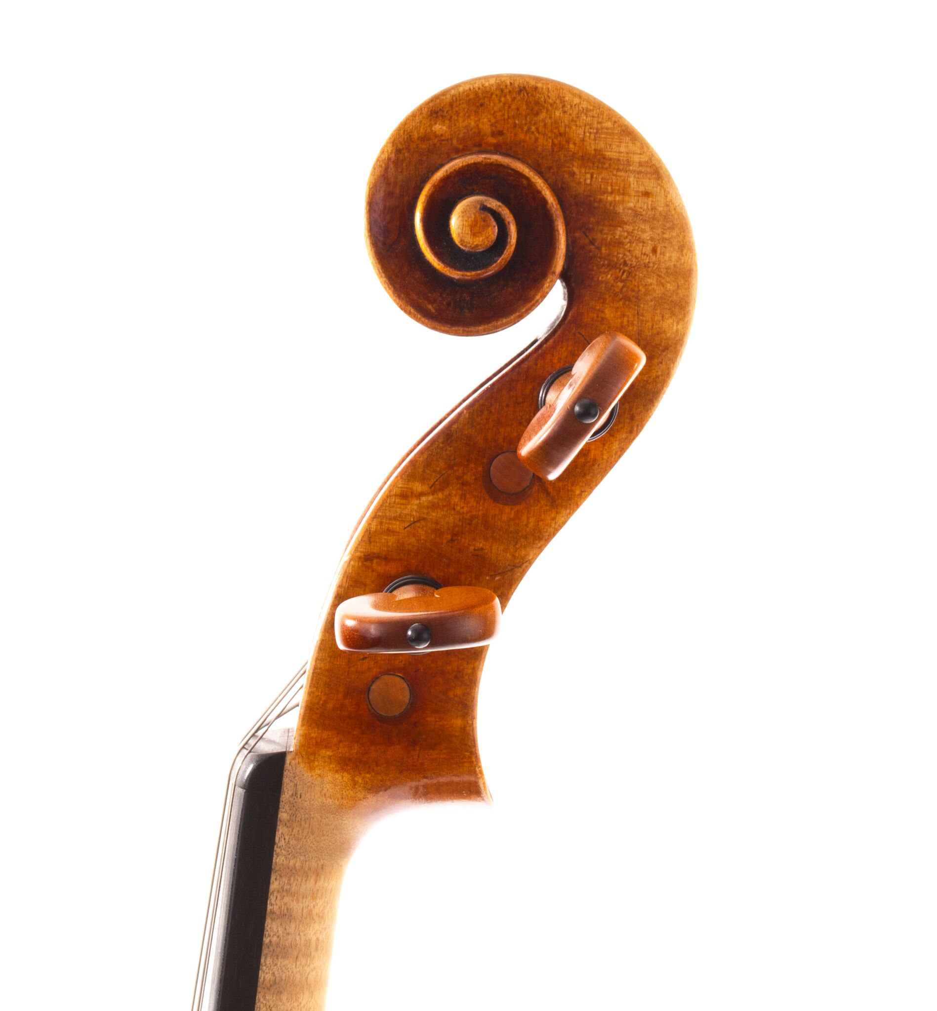 fabienne-gauchet-viola-16-1-8-2018-04