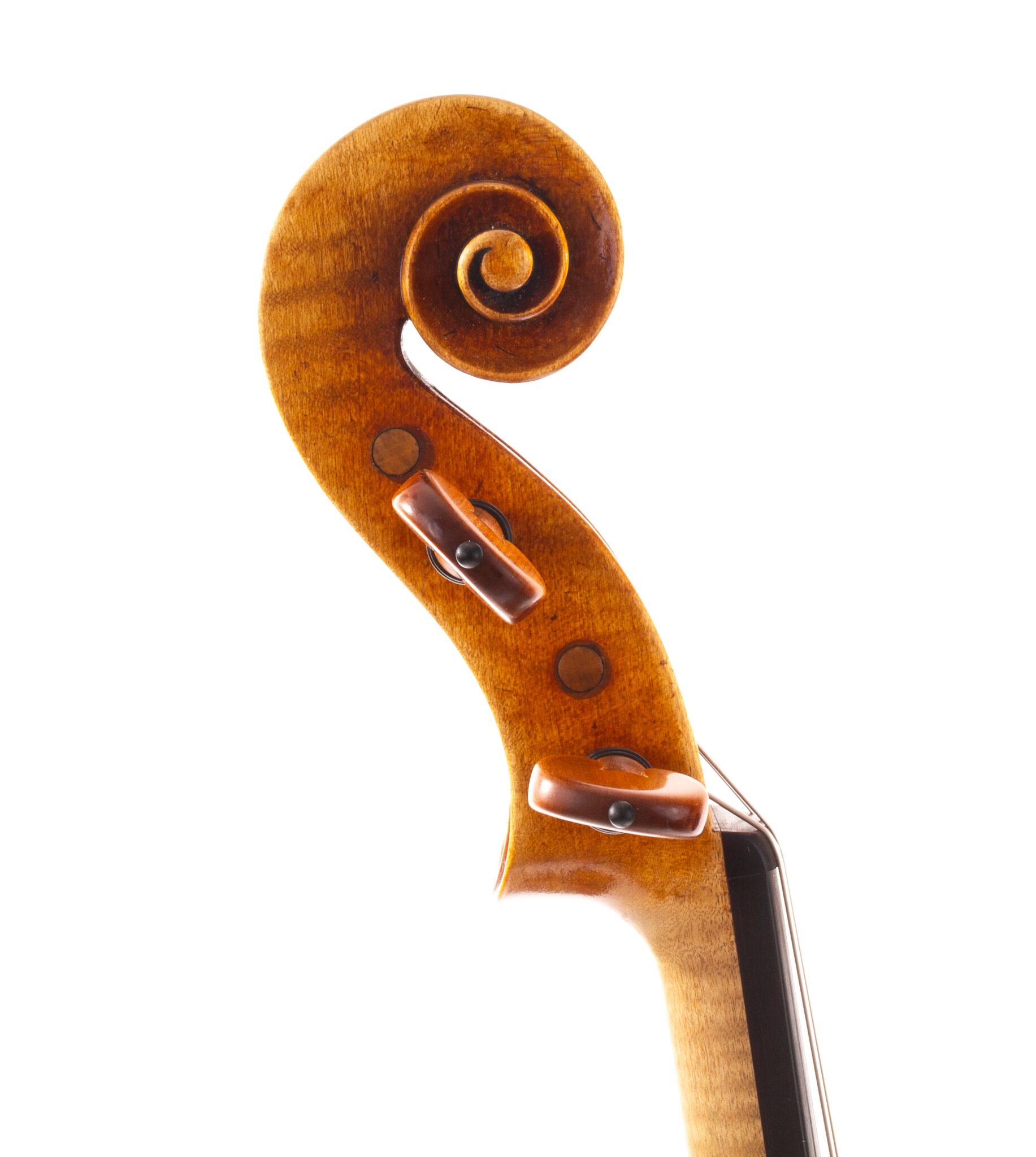 fabienne-gauchet-viola-16-1-8-2018-05