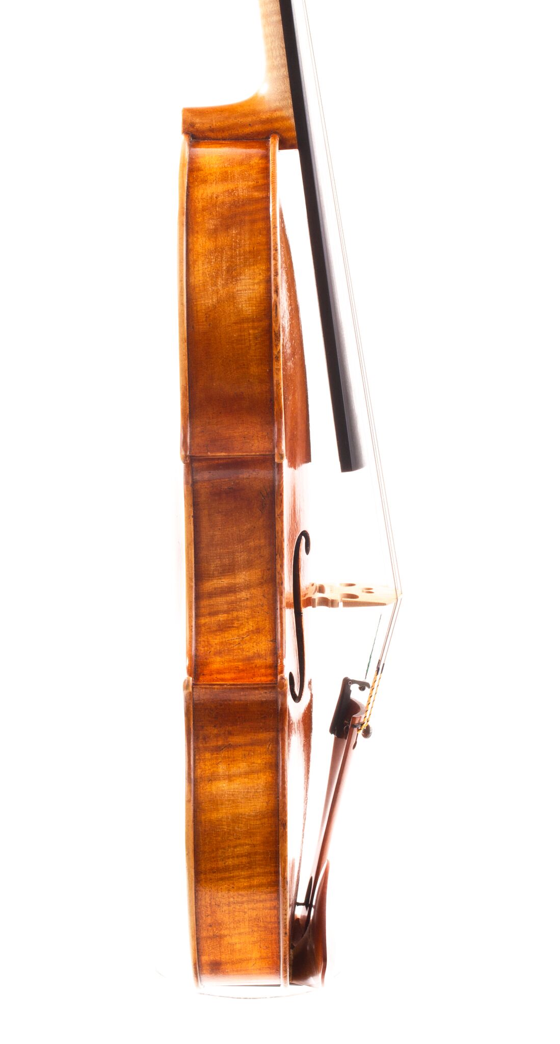 fabienne-gauchet-viola-16-1-8-2018-06