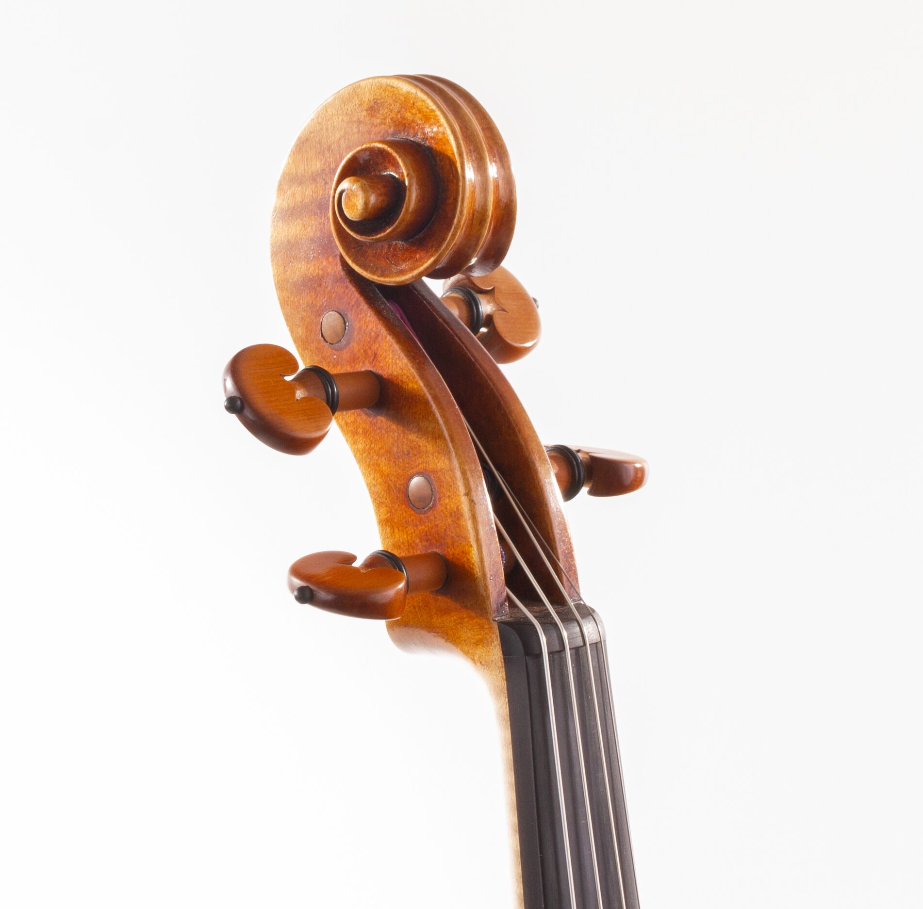 fabienne-gauchet-viola-16-1-8-2018-07