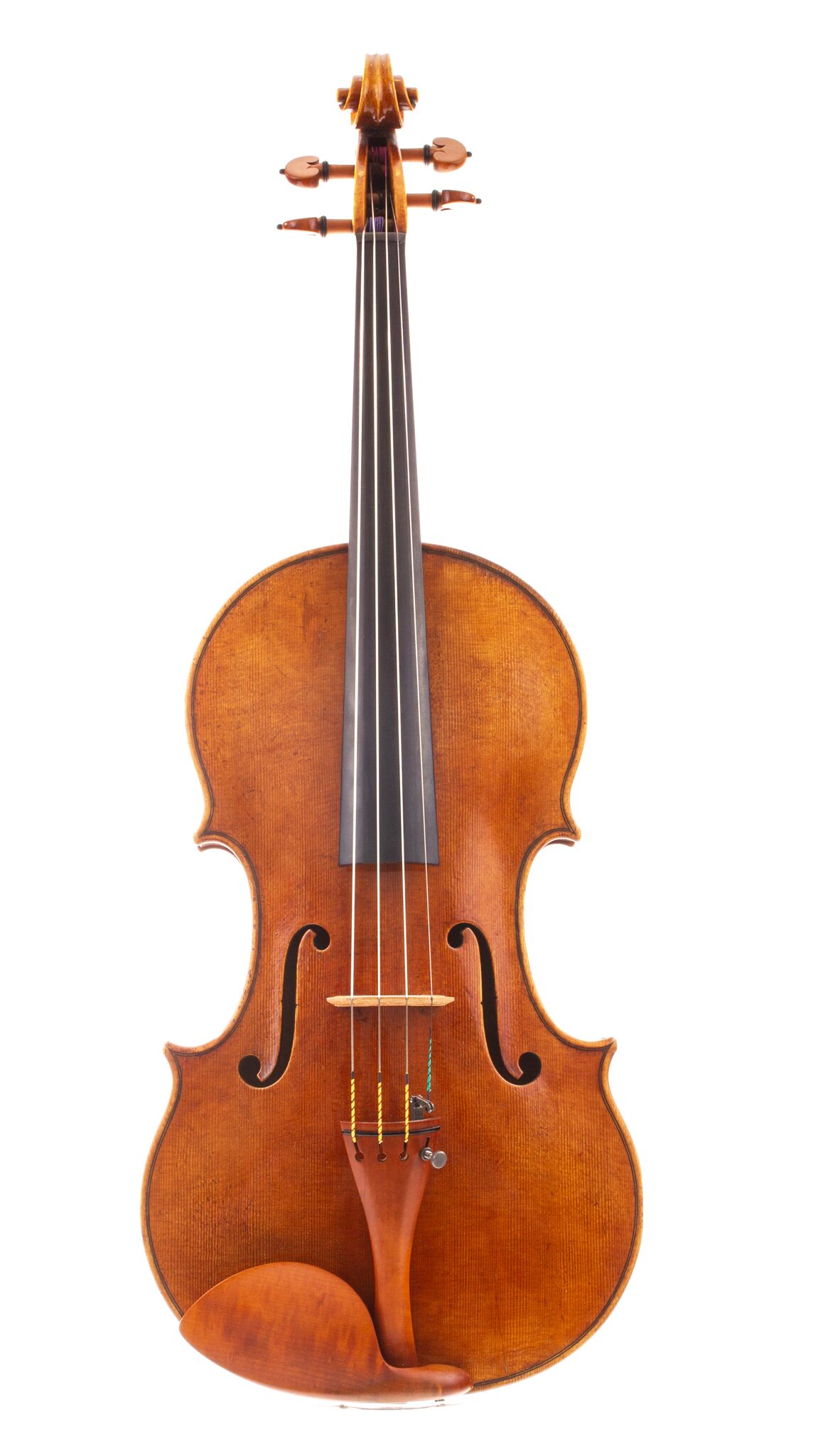 fabienne-gauchet-viola-16-1-8-2018-11