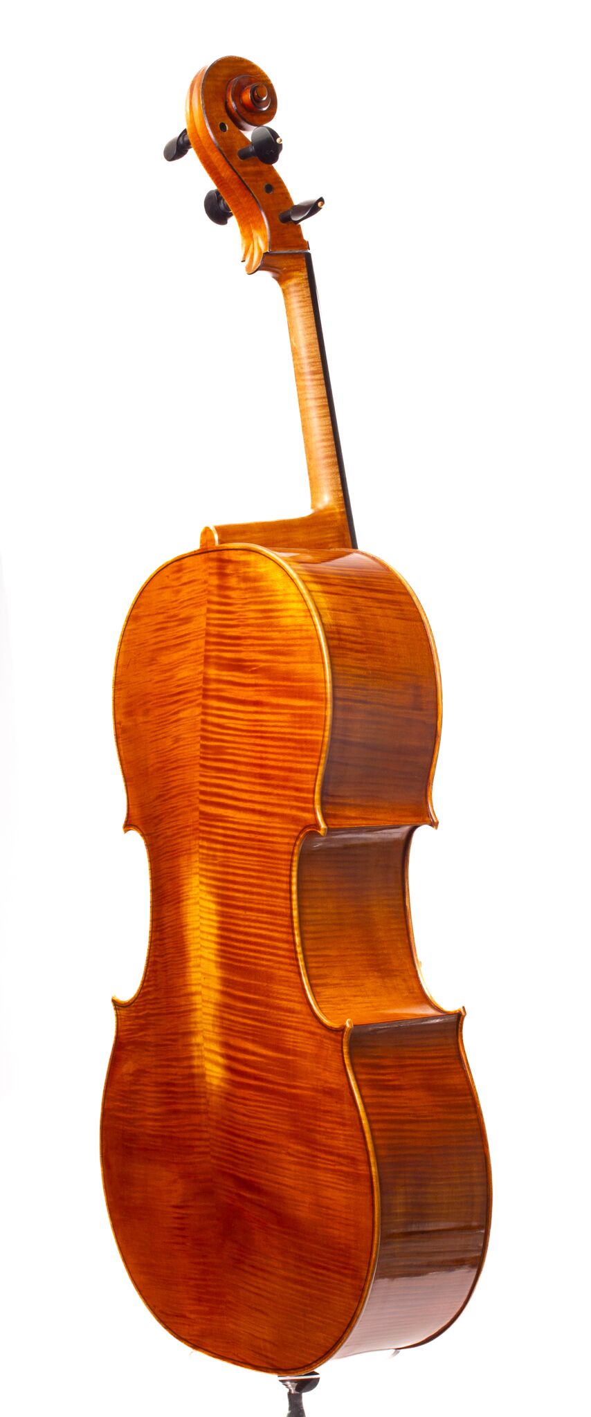 Bethke 3_4 Back