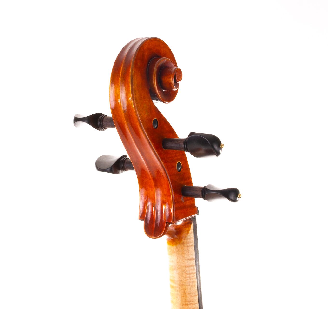 wilhelm-klier-guarneri-cello-05