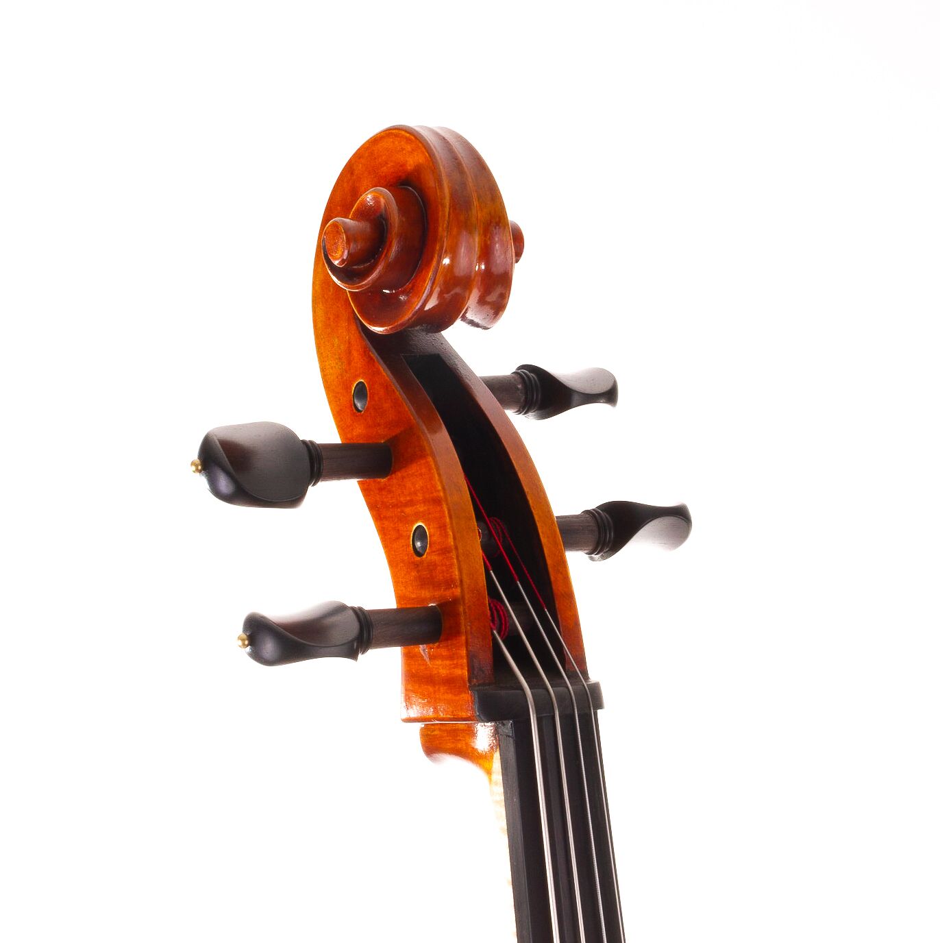 wilhelm-klier-guarneri-cello-08