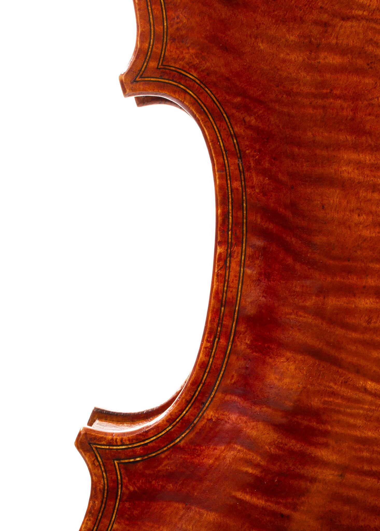 julia-felix-viola-2022-03