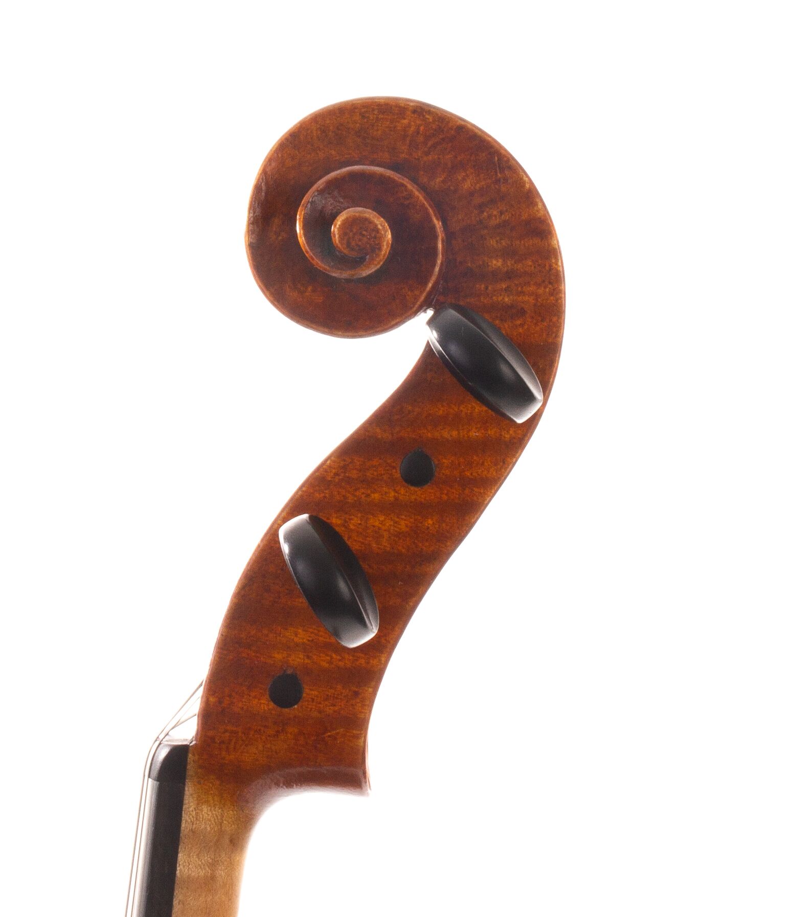 julia-felix-viola-2022-06