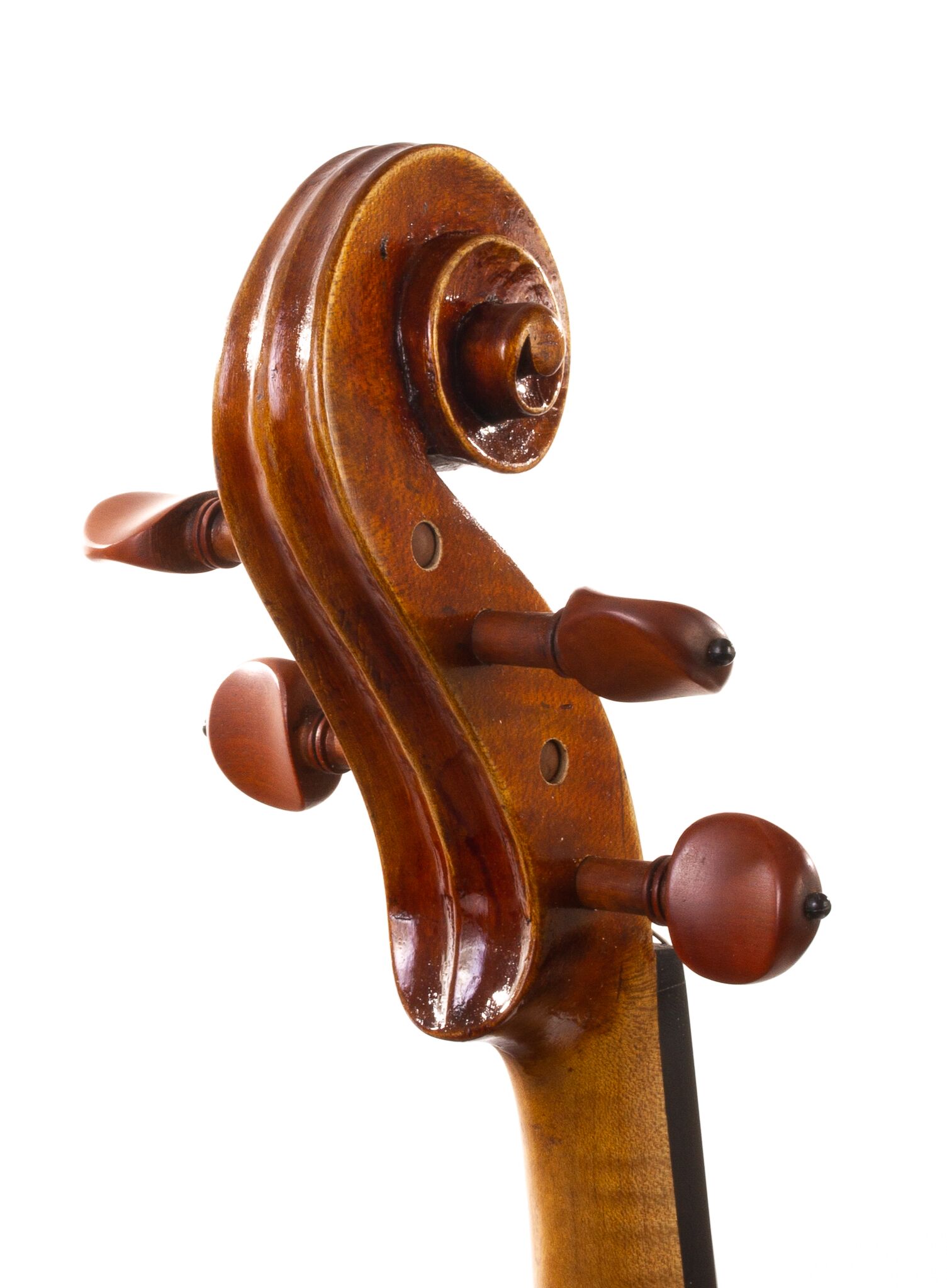 Douglas-Cox-Viola-2022-06