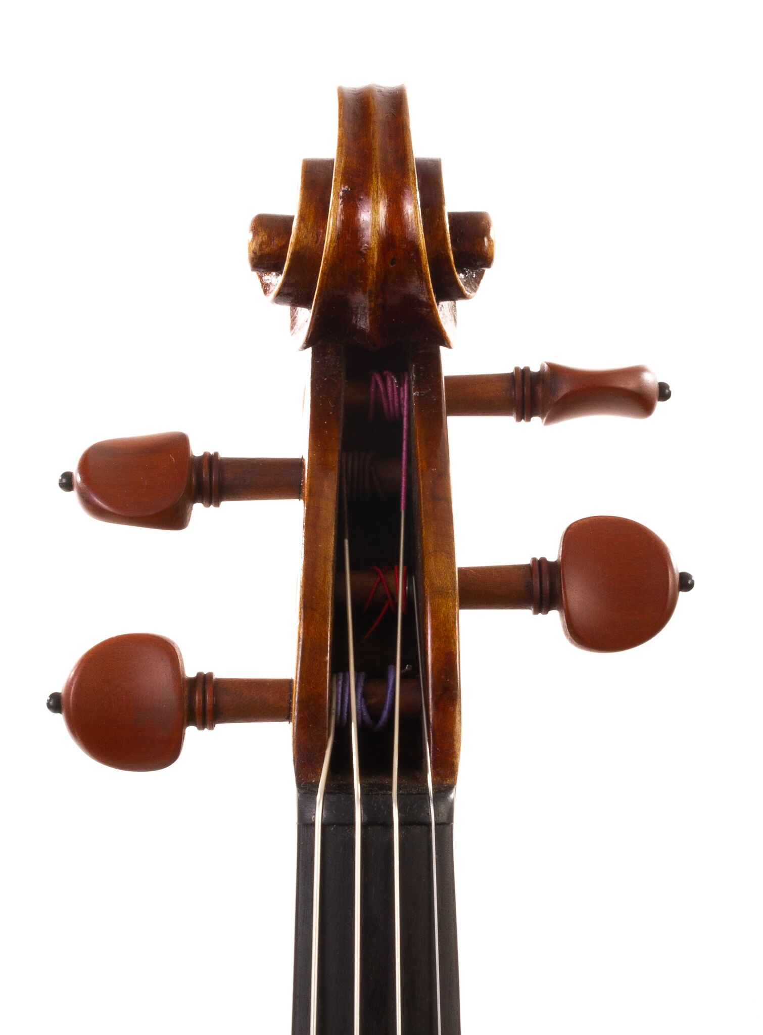 Douglas-Cox-Viola-2022-12