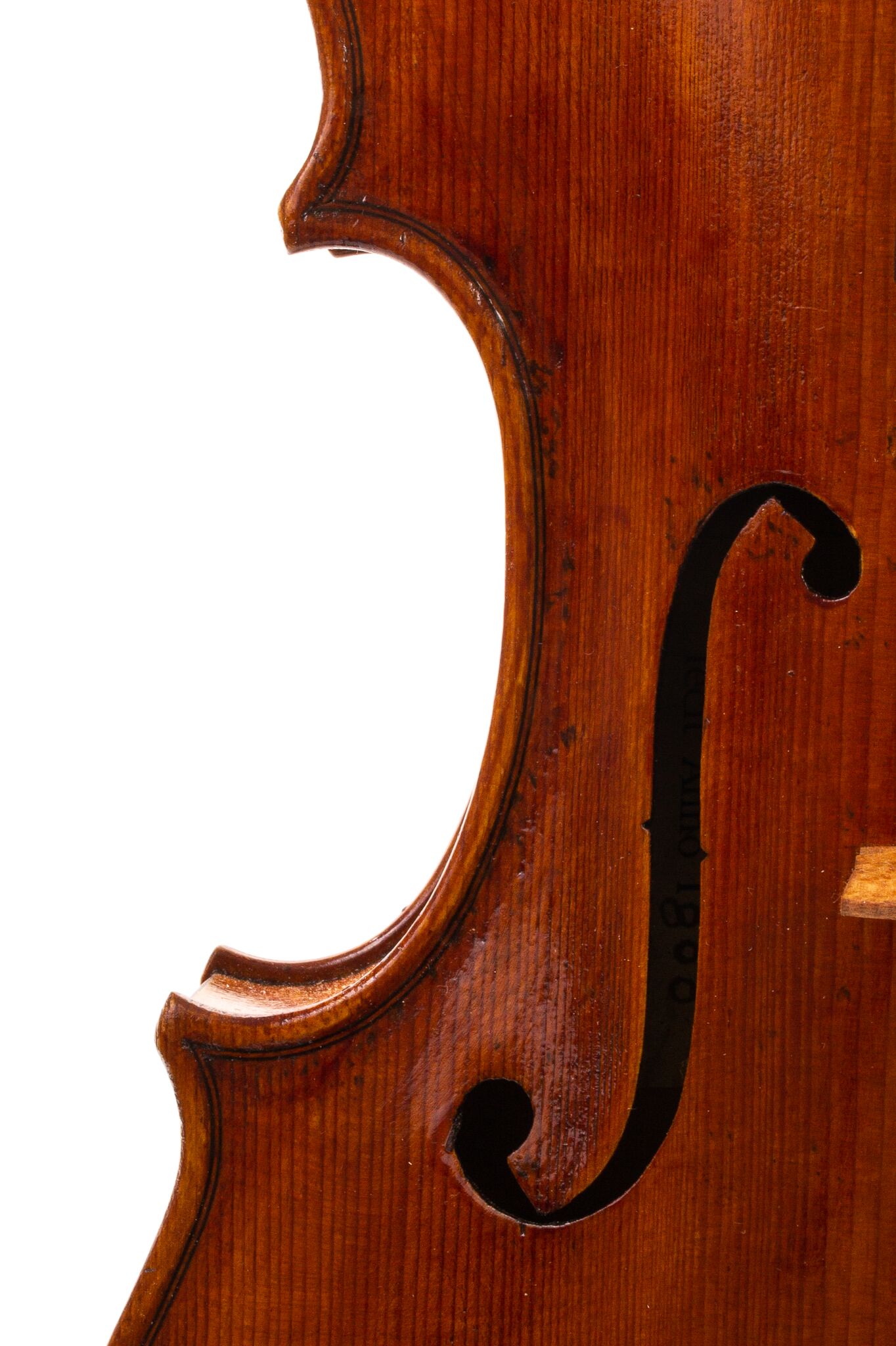 Douglas-Cox-Viola-2022-13