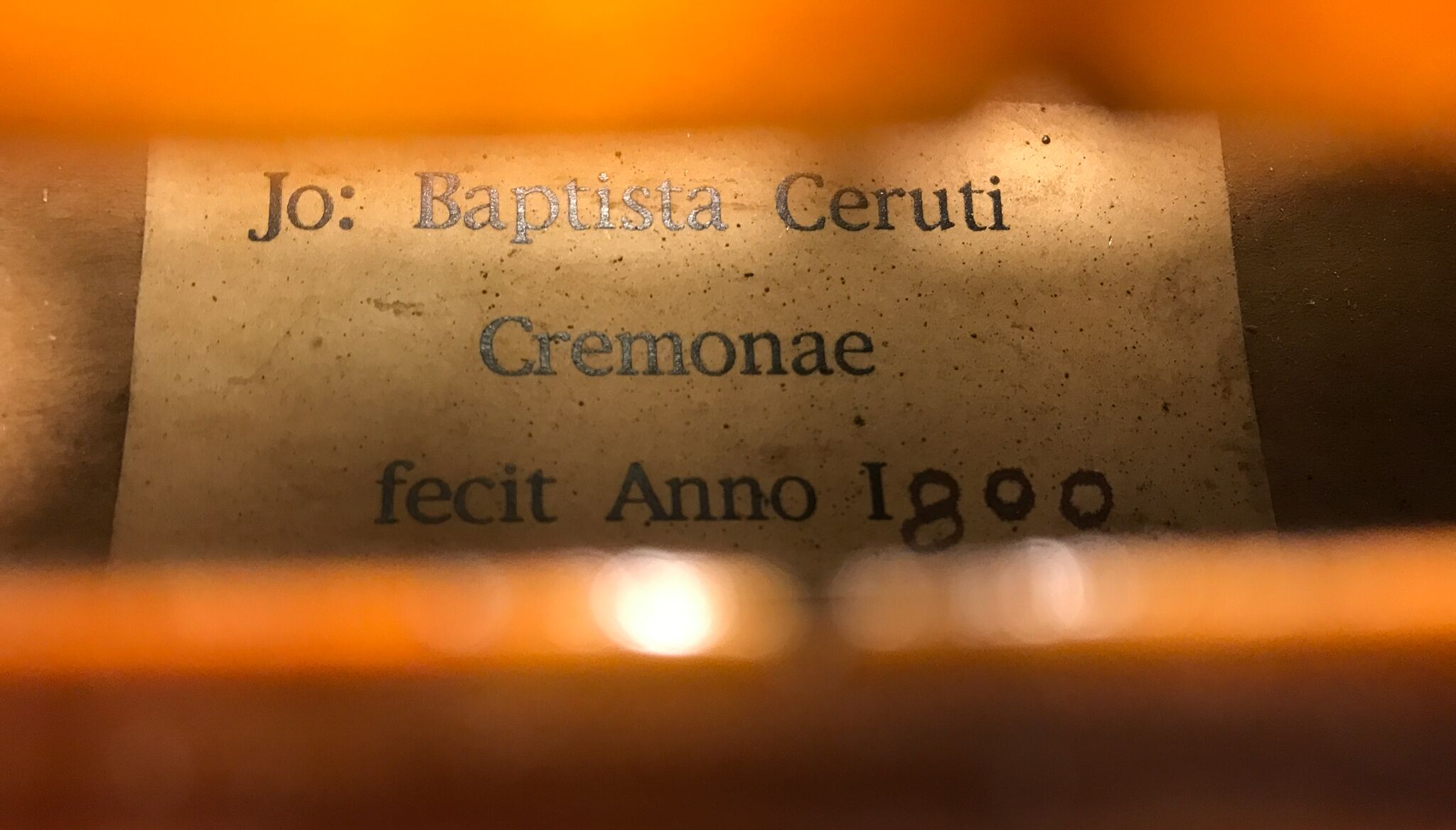 Douglas-Cox-Viola-2022-2