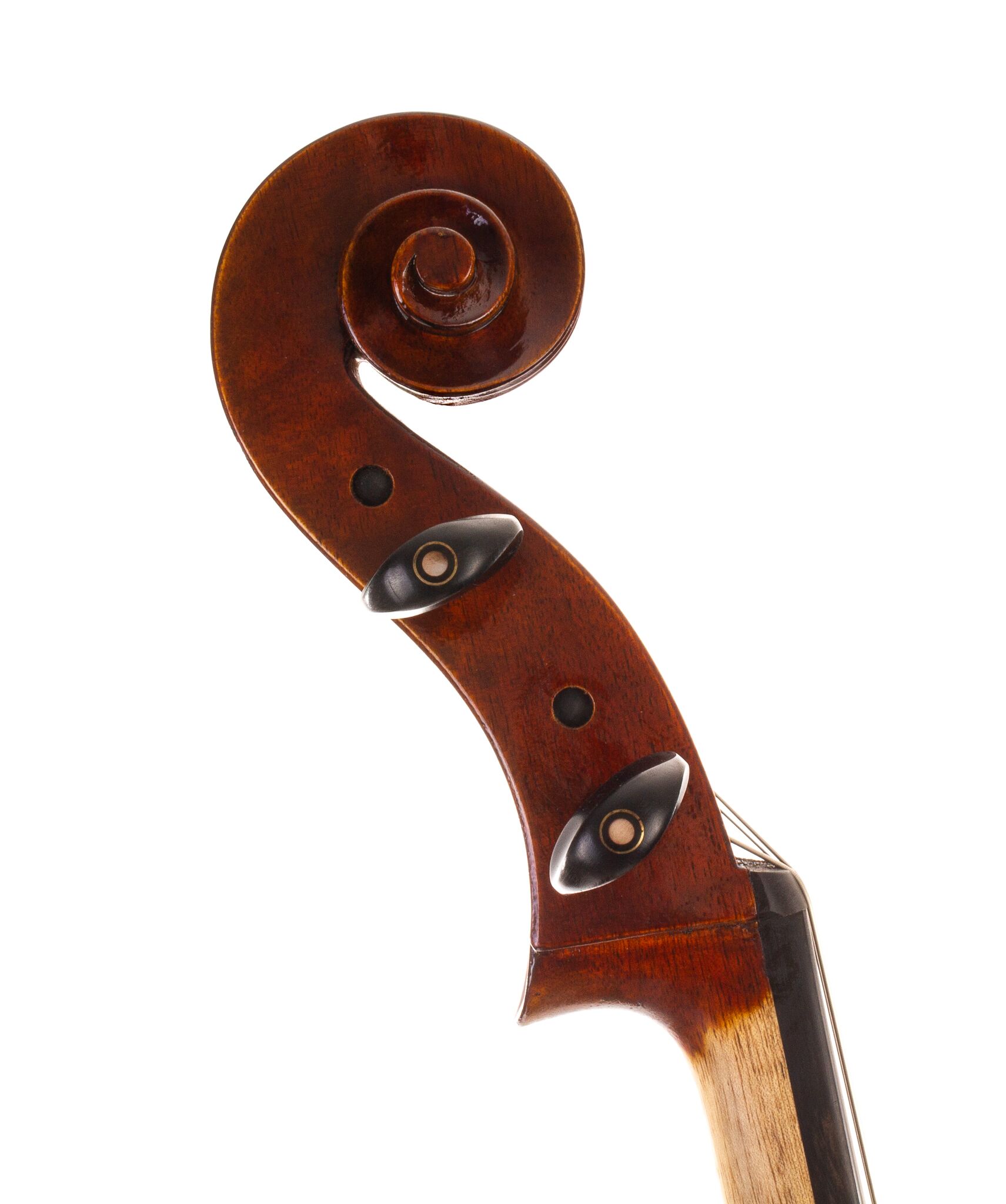 Chaconne-Full-Size-Cello-08