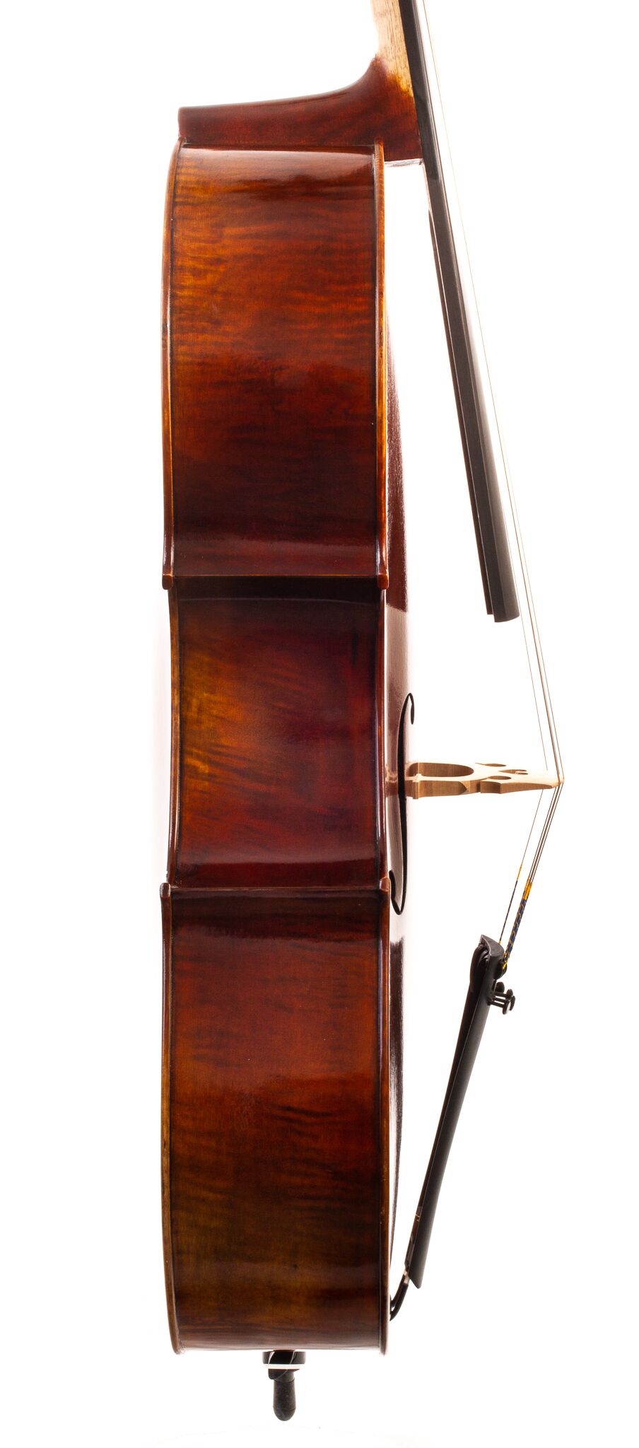 Chaconne-Full-Size-Cello-3