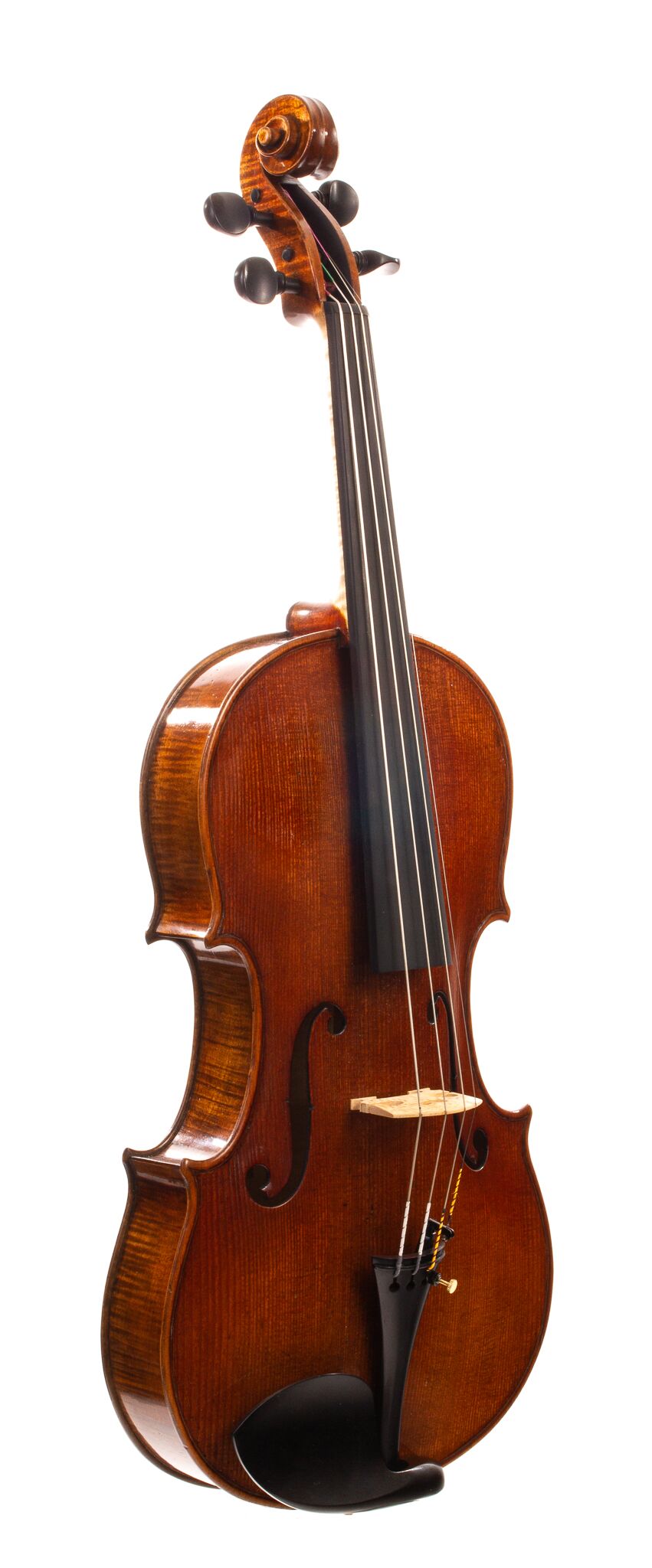 Andrzej-Glodek-Viola-2022-01