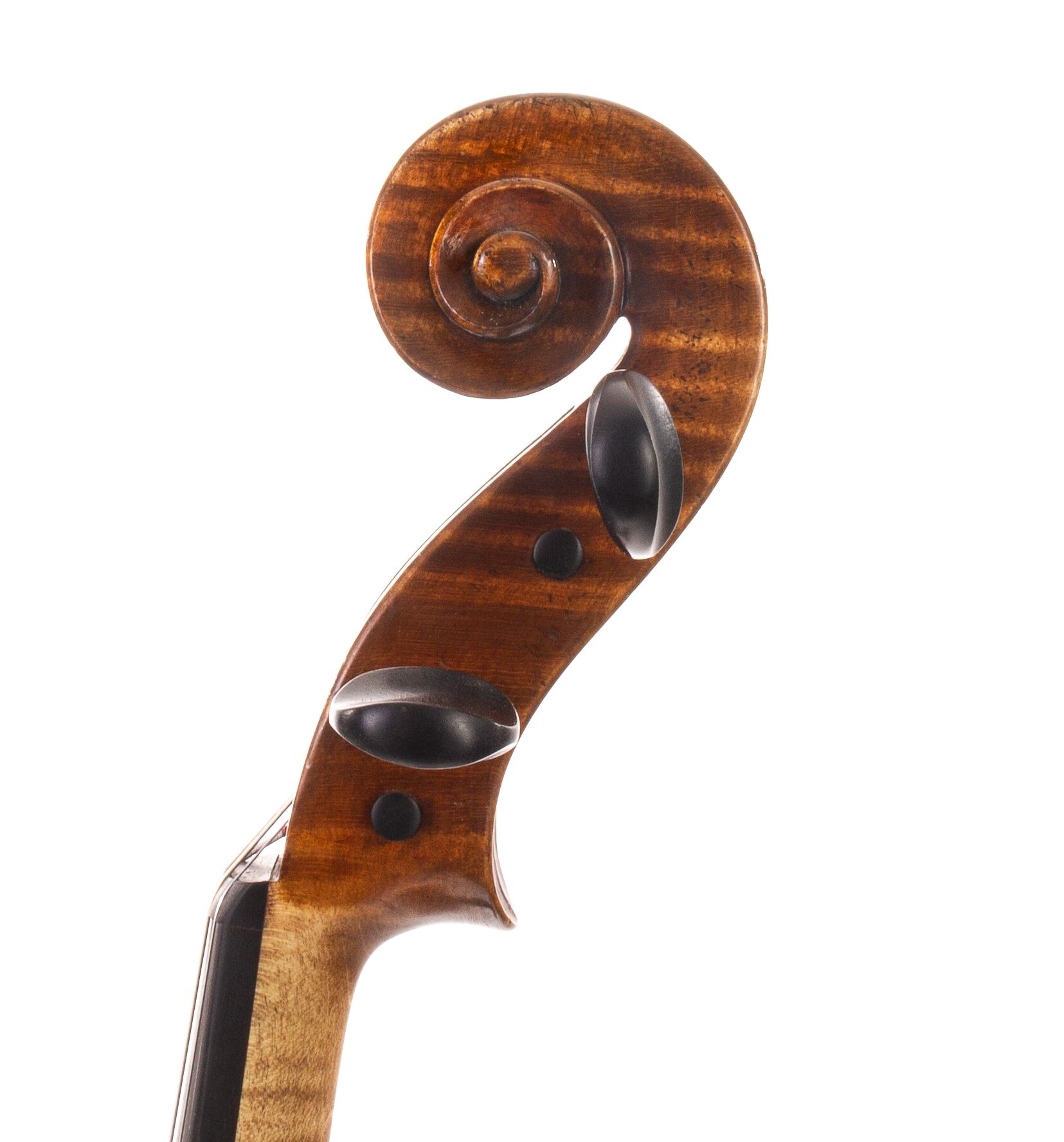 Andrzej-Glodek-Viola-2022-02