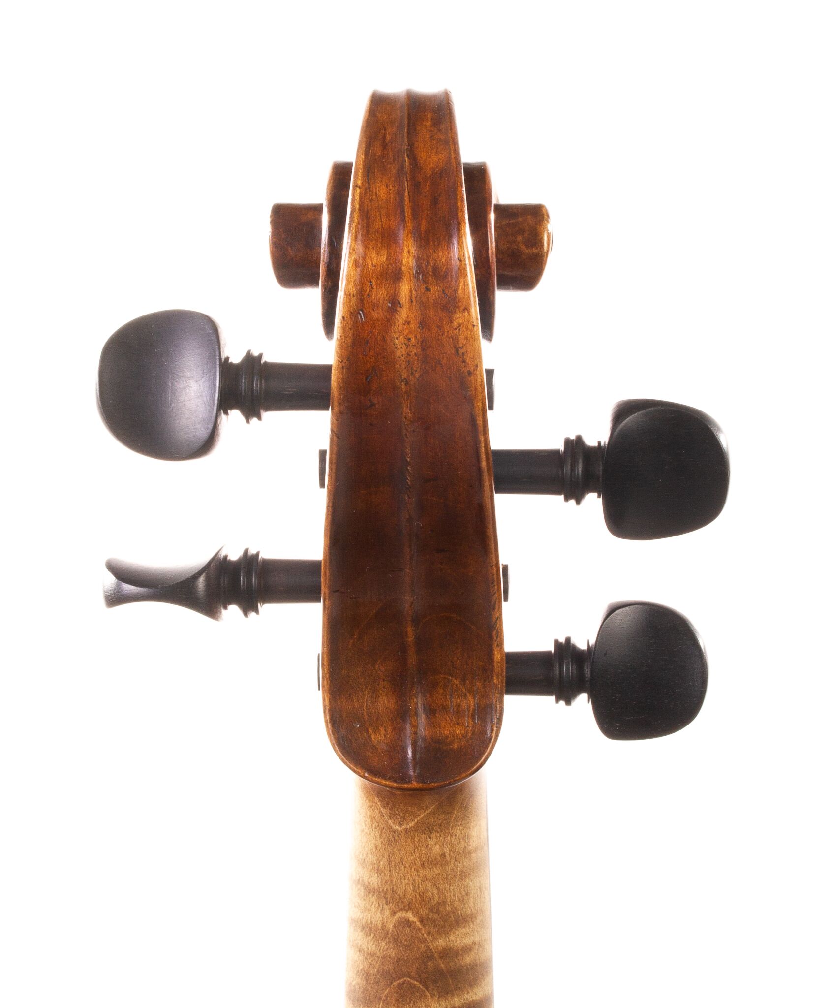 Andrzej-Glodek-Viola-2022-03