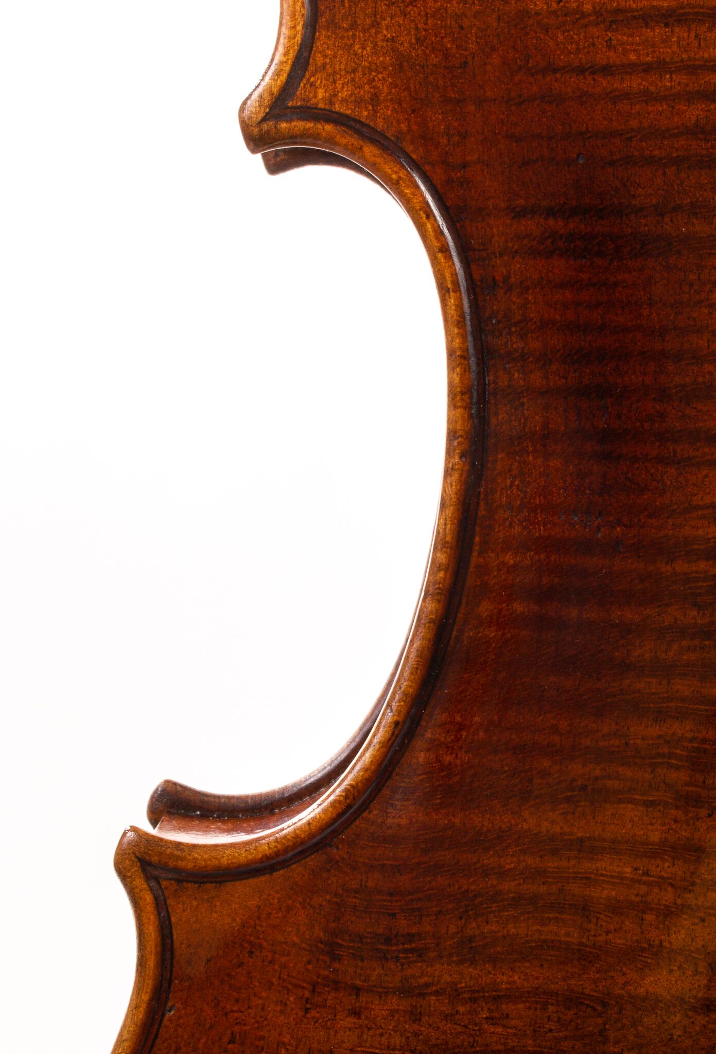 Andrzej-Glodek-Viola-2022-04
