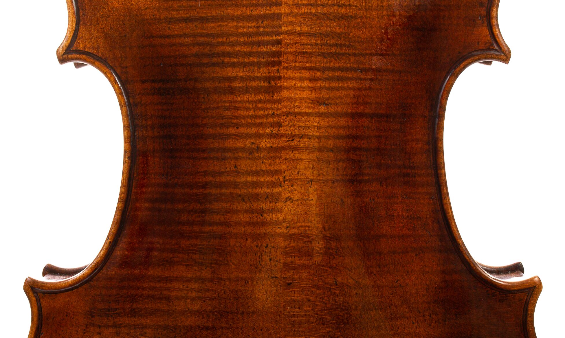 Andrzej-Glodek-Viola-2022-05