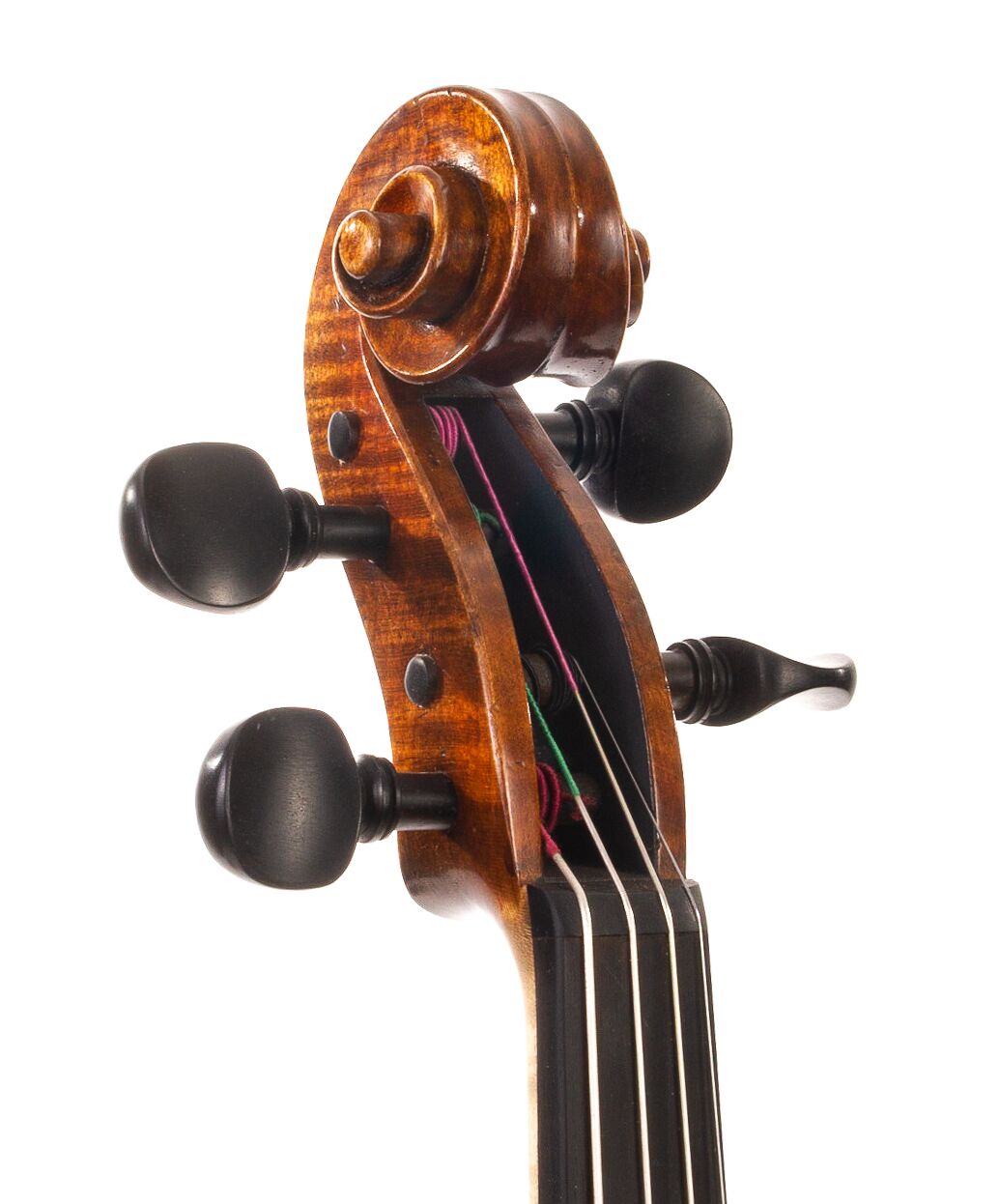 Andrzej-Glodek-Viola-2022-11