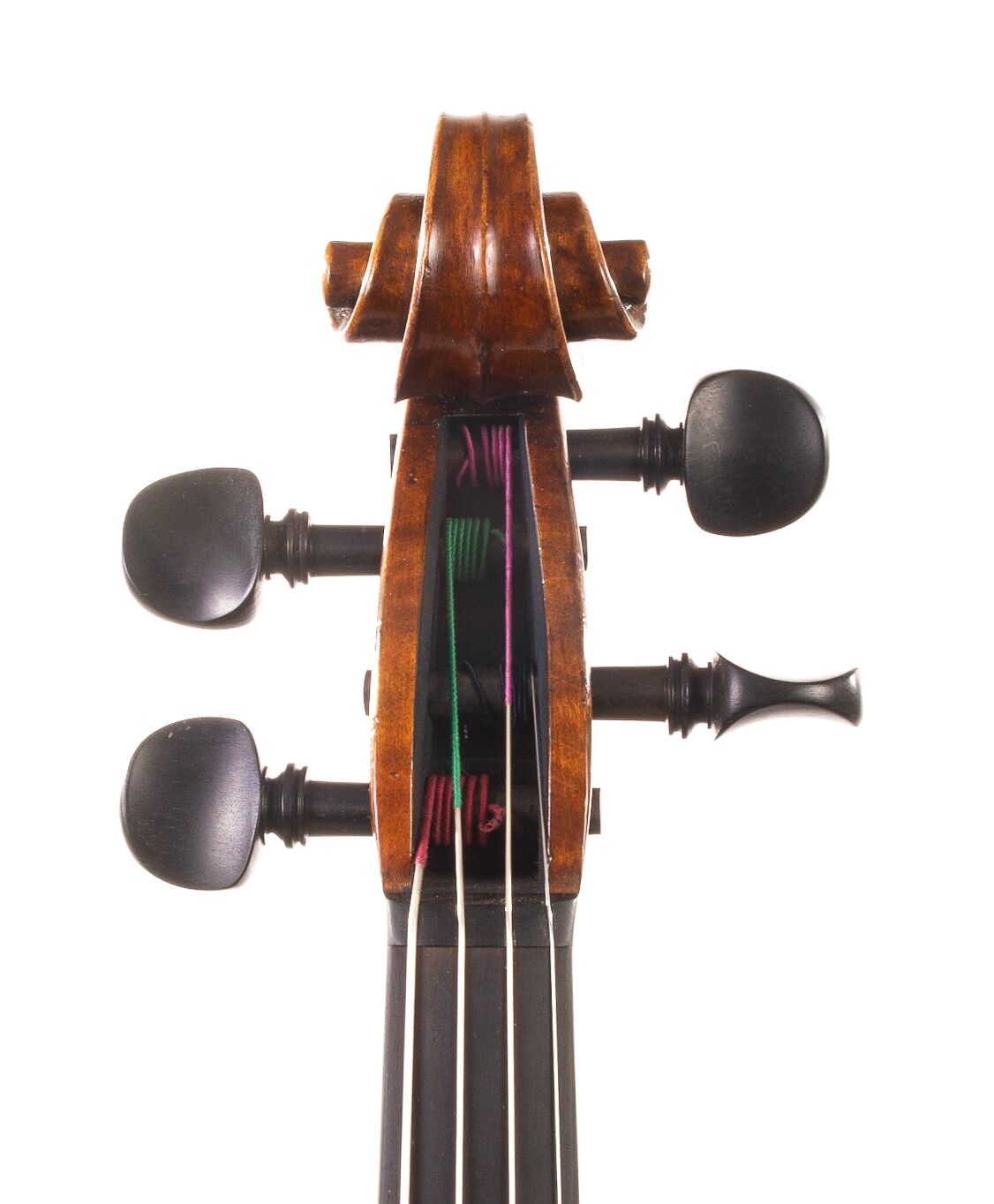 Andrzej-Glodek-Viola-2022-12
