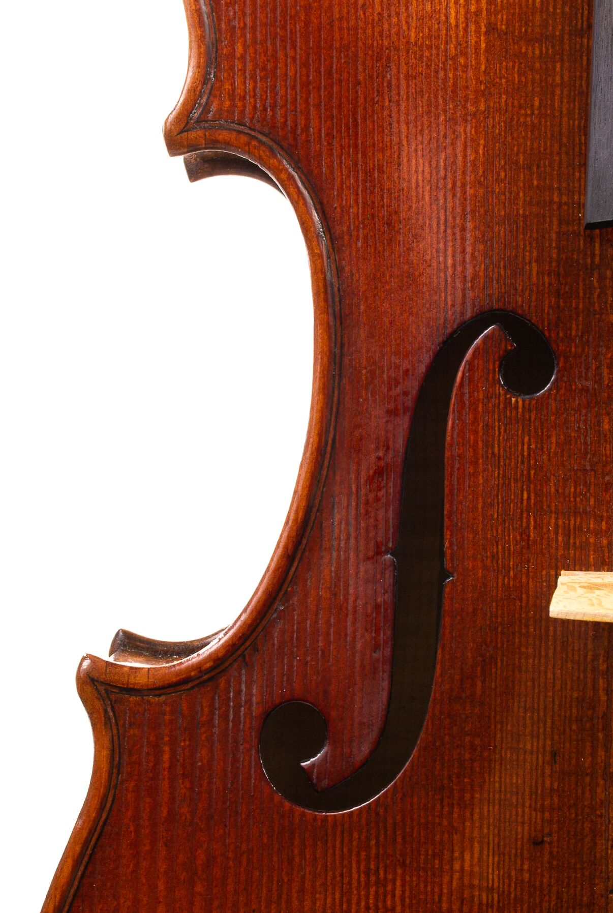 Andrzej-Glodek-Viola-2022-13