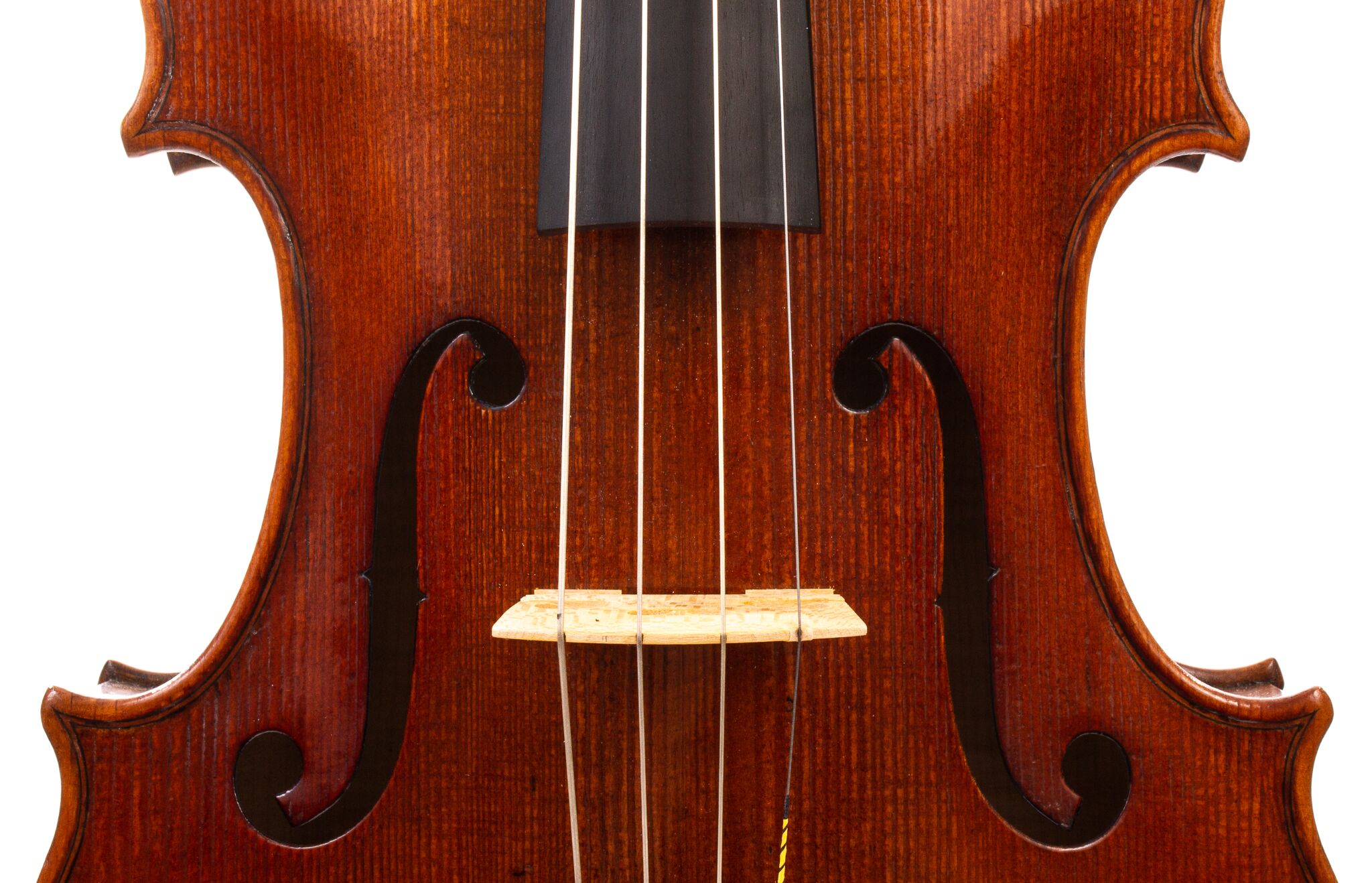 Andrzej-Glodek-Viola-2022-14
