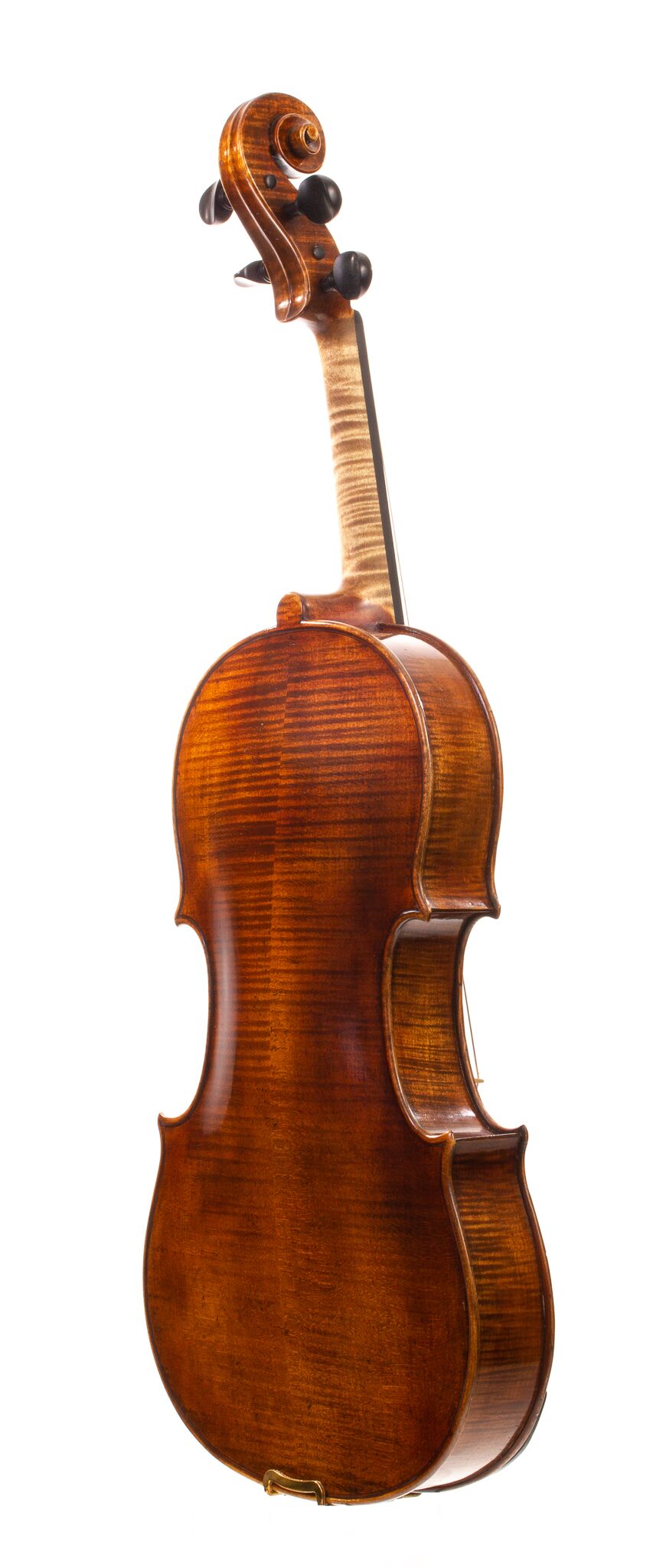 Andrzej-Glodek-Viola-2022-2