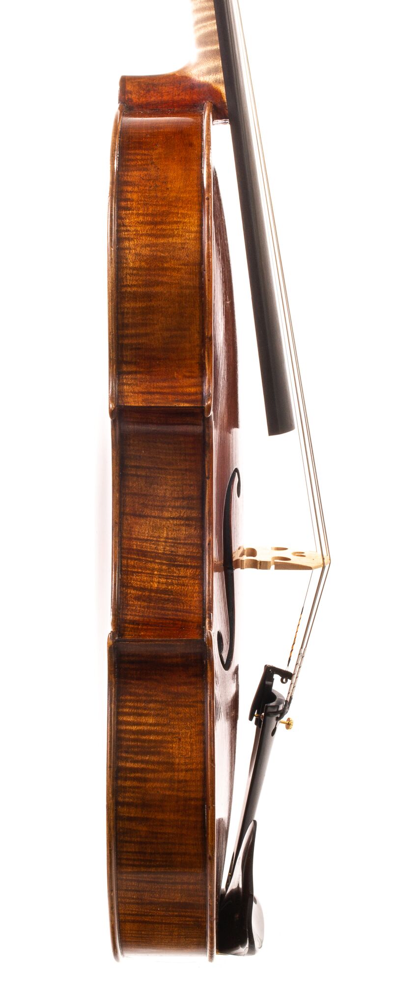 Andrzej-Glodek-Viola-2022-3