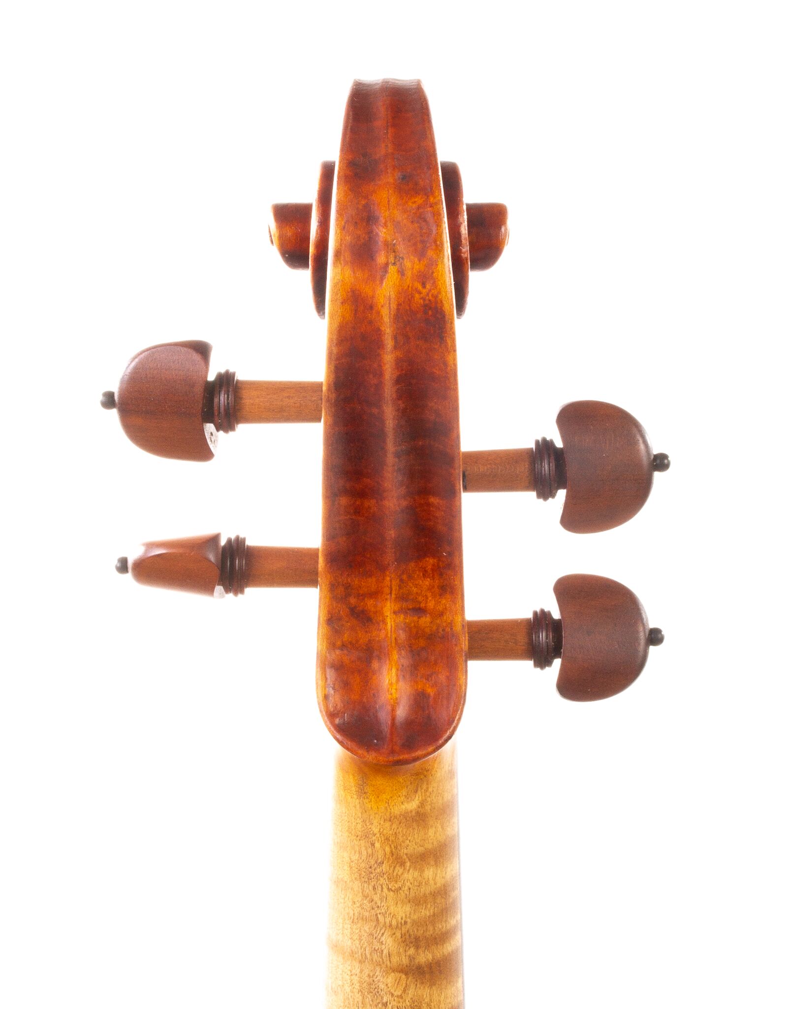 Marinos-Glitsos-Viola-2024-01